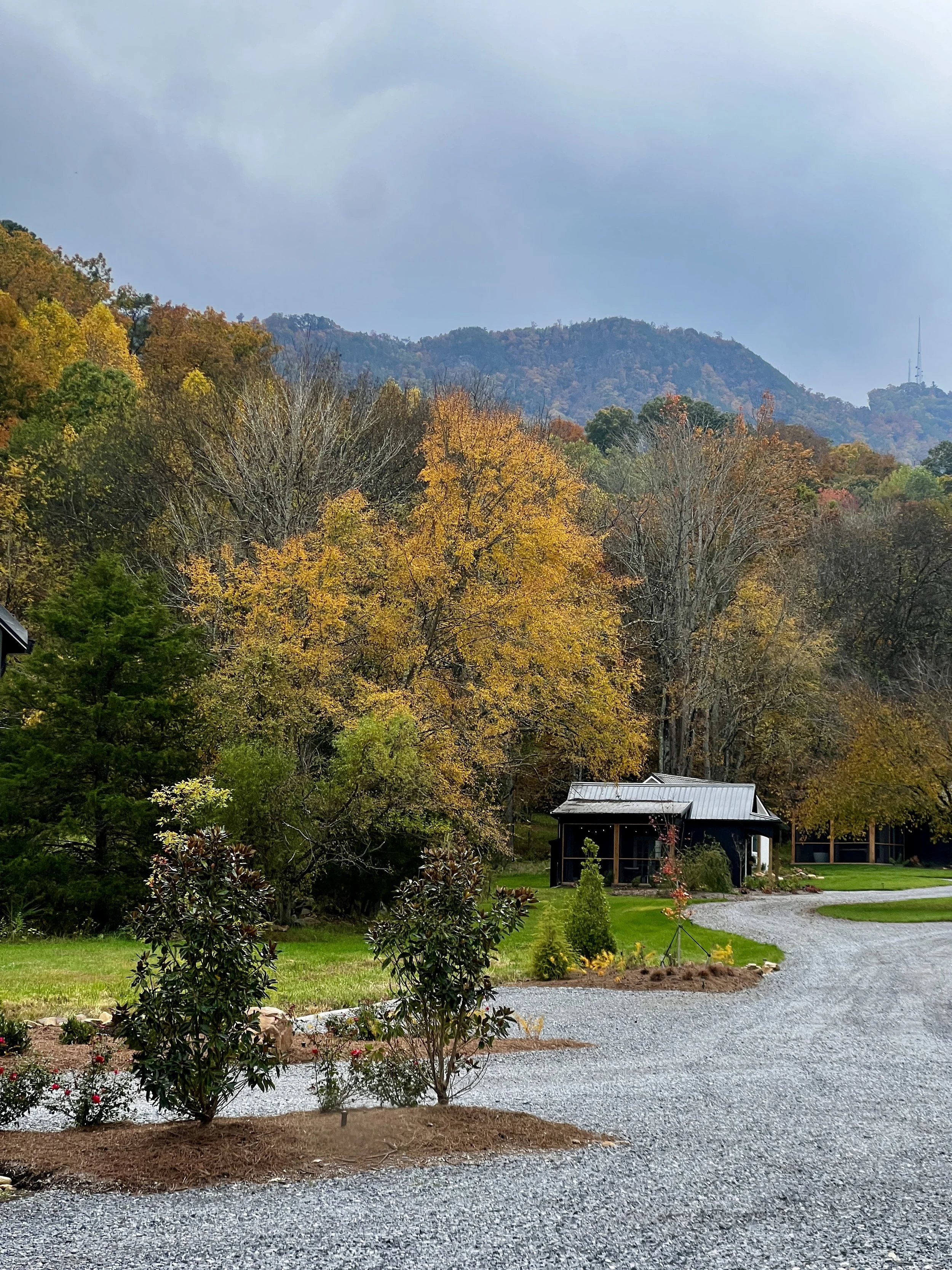 Gravel driveway leading to small cabins surrounded by fall foliage and trees with a mountain backdrop.