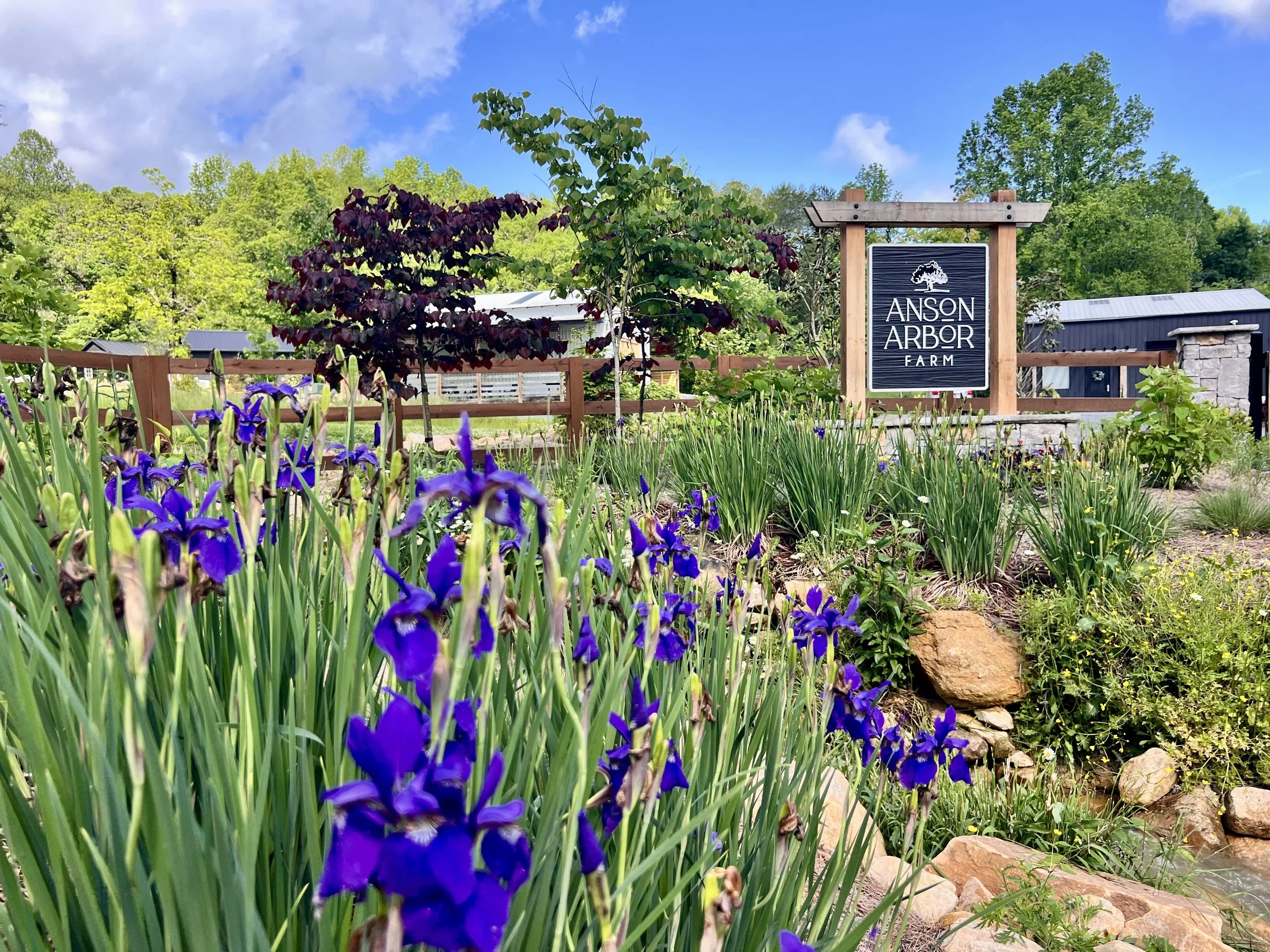Anson Arbor Farm entrance in bloom during spring season