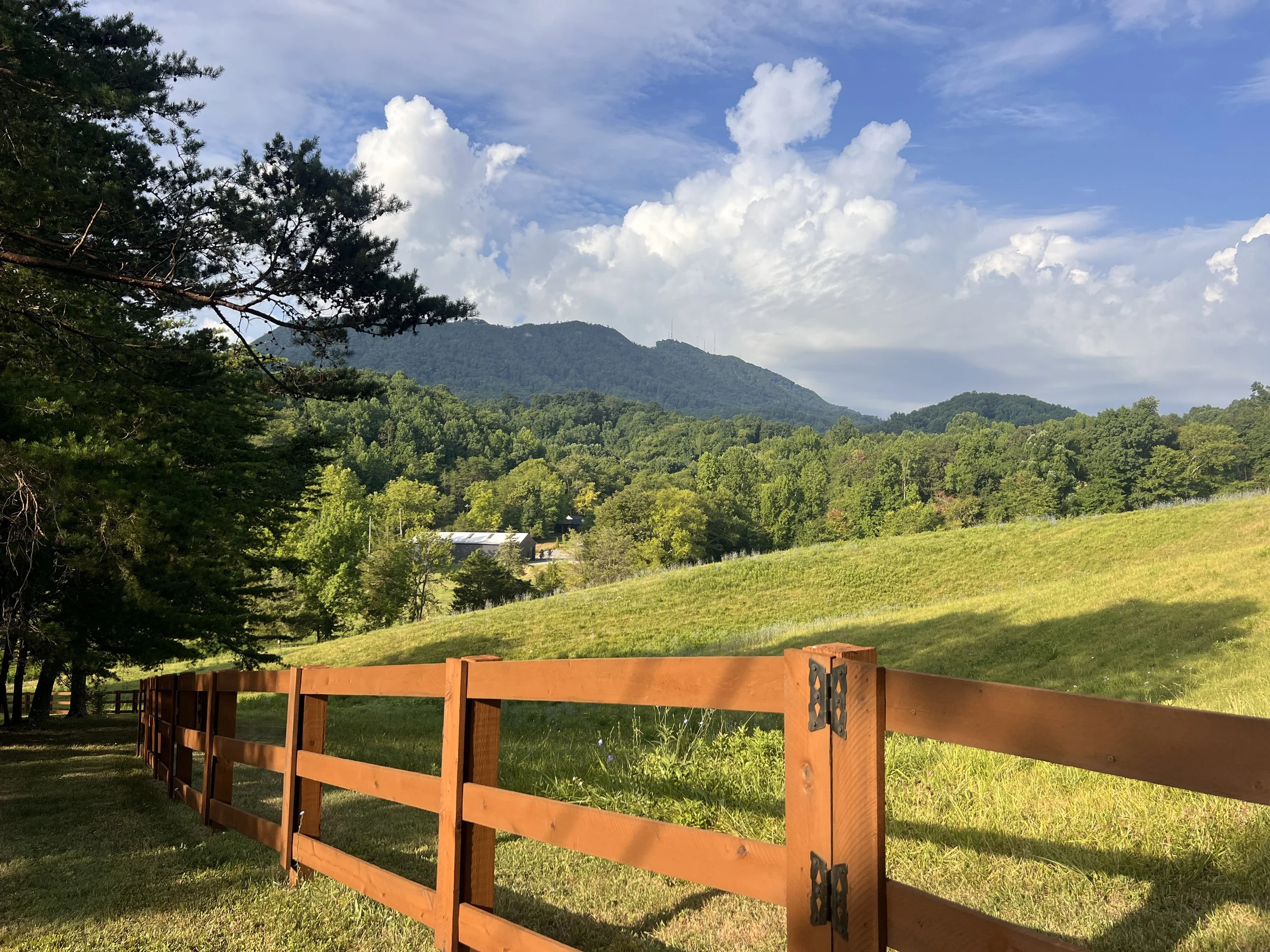 Scenic landscape with wooden fence, grassy field, trees, and mountains under a cloudy sky.