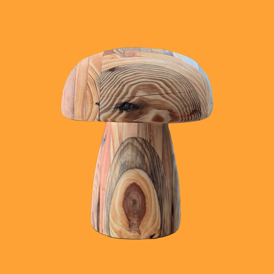 6.gif
