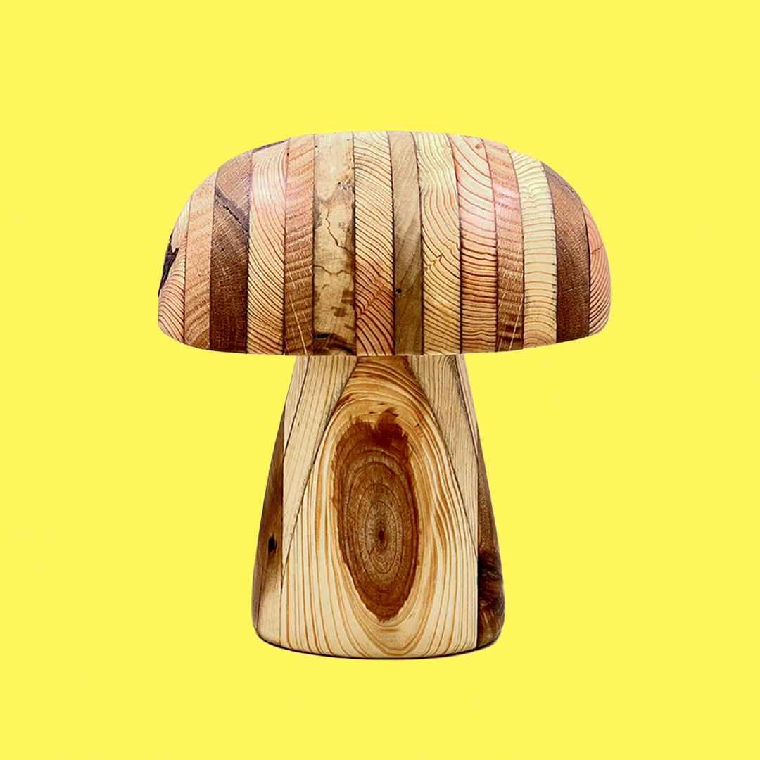 11.gif