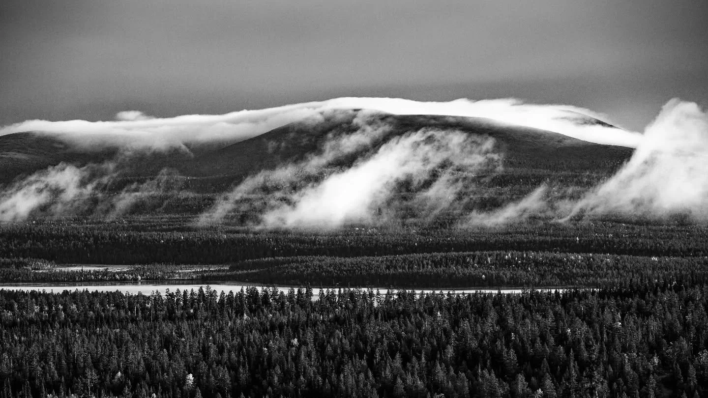 Soon. The fog season🖤🩶🤍
.
.
#maisemakuva #landscapephotography #blackandwhitelandscape #monochromatic #mustavalkoinen #68degreesnorth #lapland #arctic #tunturi