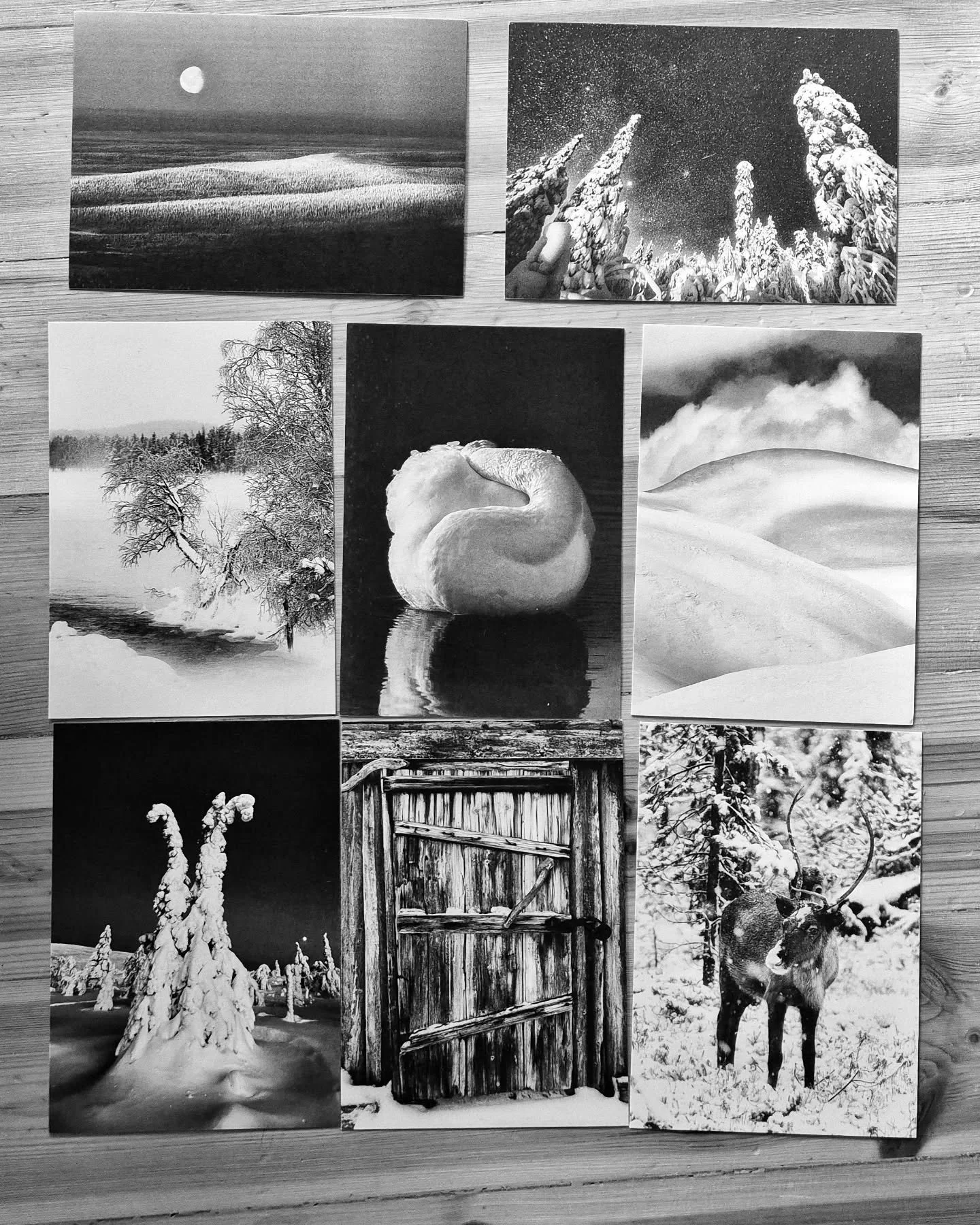 Postikortteja  saatavilla nyt Arctic Design Shopista ( @arcticdesignshop) Rovaniemell&auml;. Lis&auml;&auml; tulossa my&ouml;hemmin syksyll&auml;.

Postcards now available from the @arcticdesignshop in Rovaniemi😊. More available later in the fall. 
