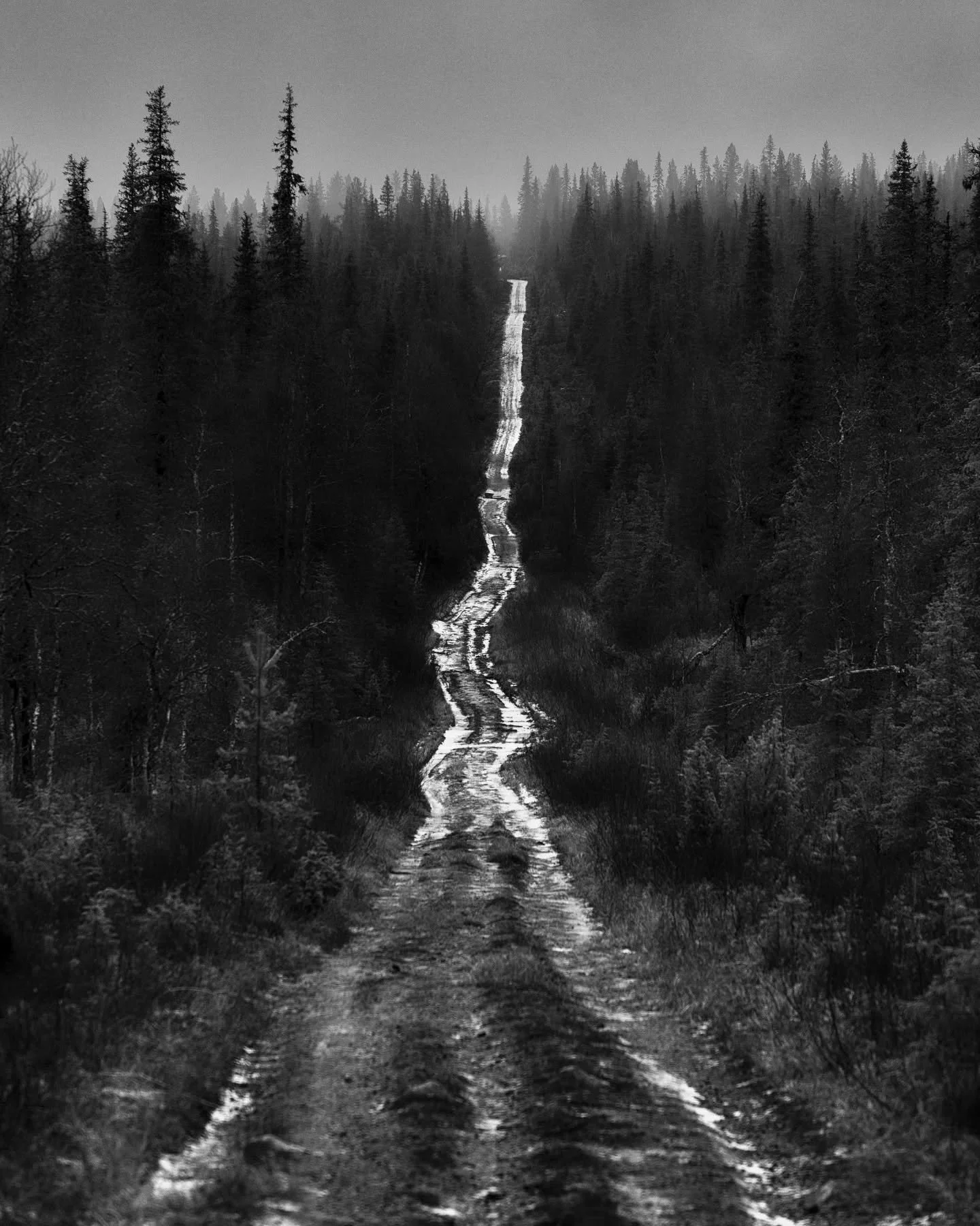 Tuolta se n&auml;ytt&auml;&auml;: muuttuva ilmasto Tunturi-Lapissa.

Hyv&auml;&auml; marraskuuta!
Kuva otettu eilen.

#ilmastonmuutos 
#climatechange 
#climatechangephotography
#lappi #lapland #crapland 
#maisemakuva #landscapephotography #bnwmood #b