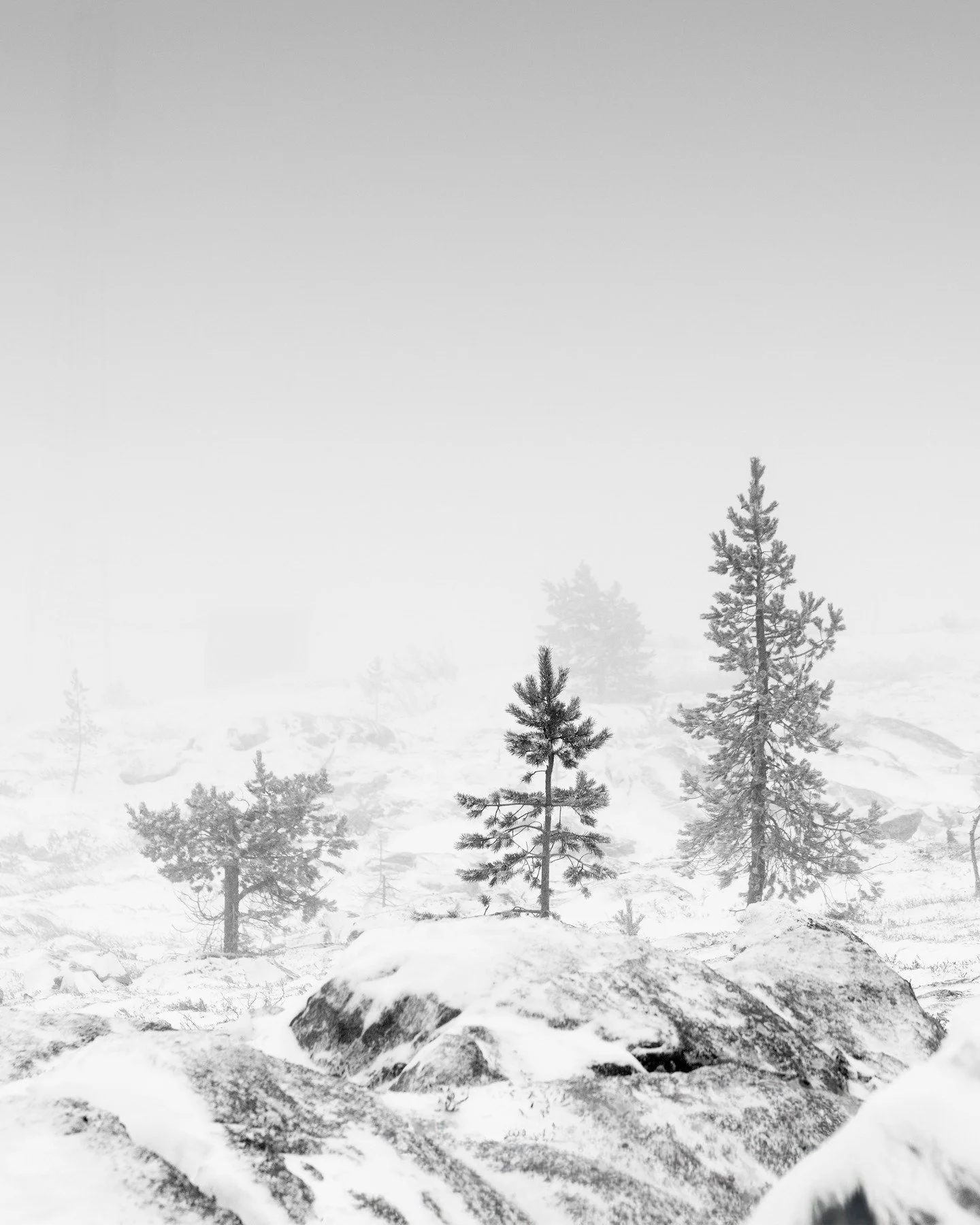 Alkutalven taikaa. 
.
.
.
#arctic #tunturi #landscapephotography #maisemakuva #bnw_mood #bnw_landscape #mustavalkoinen #arcticphotography #suomenluonnonvalokuvaajat #fineart_photobw #monochrome #laplandfinland #canonsuomi #canonnordic #canon
