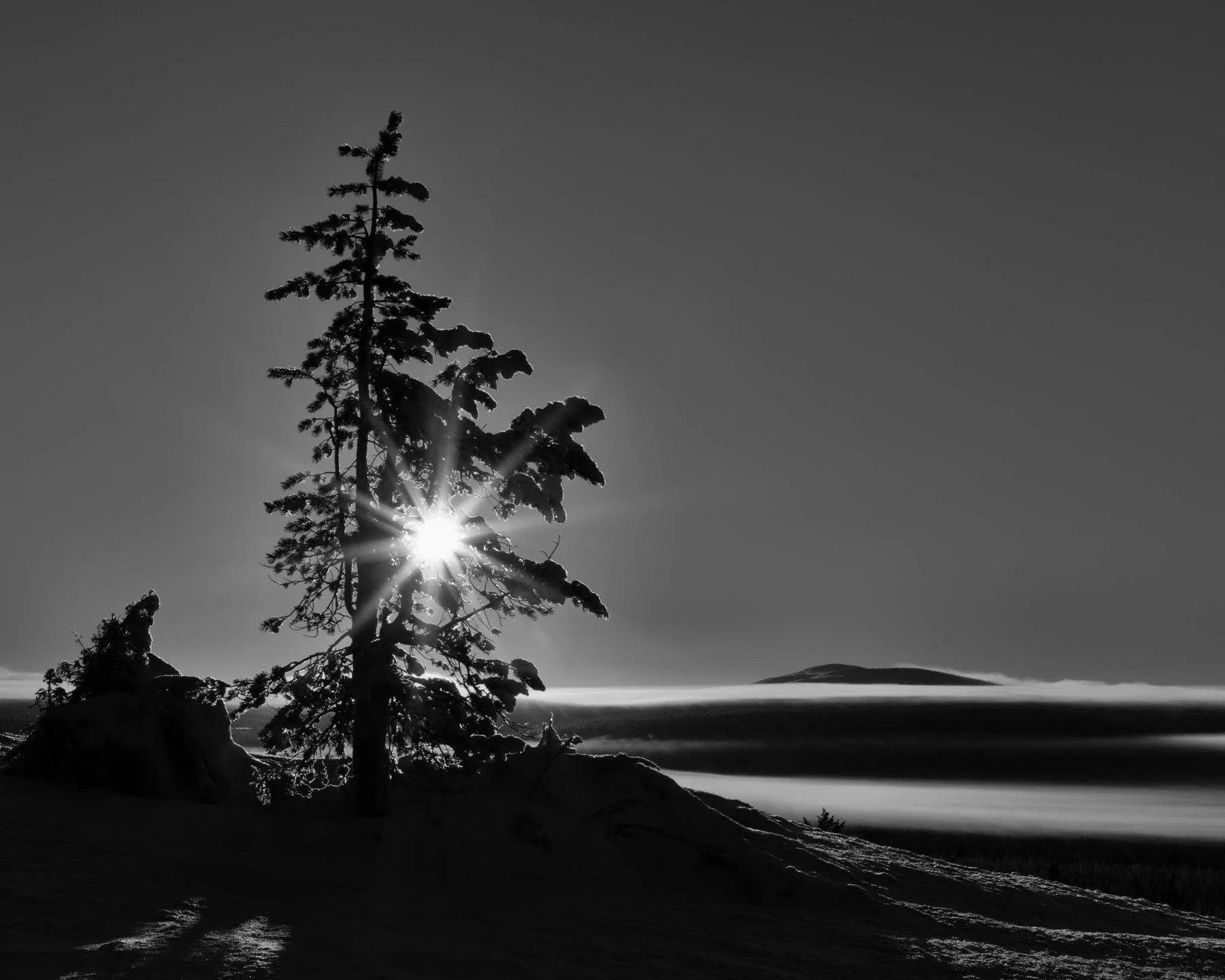 TALVI/WINTER ❤️
.
.
#arctic #finland #maisemakuva #bnw_mood #bnwlandscapephotography