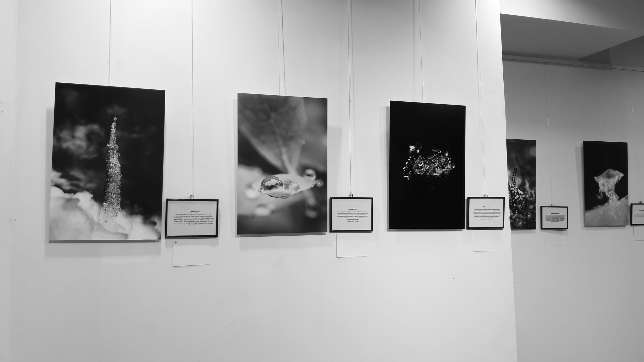 (Projects -sivuille) Close-by - exhibition in Galleria Jieris.jpg