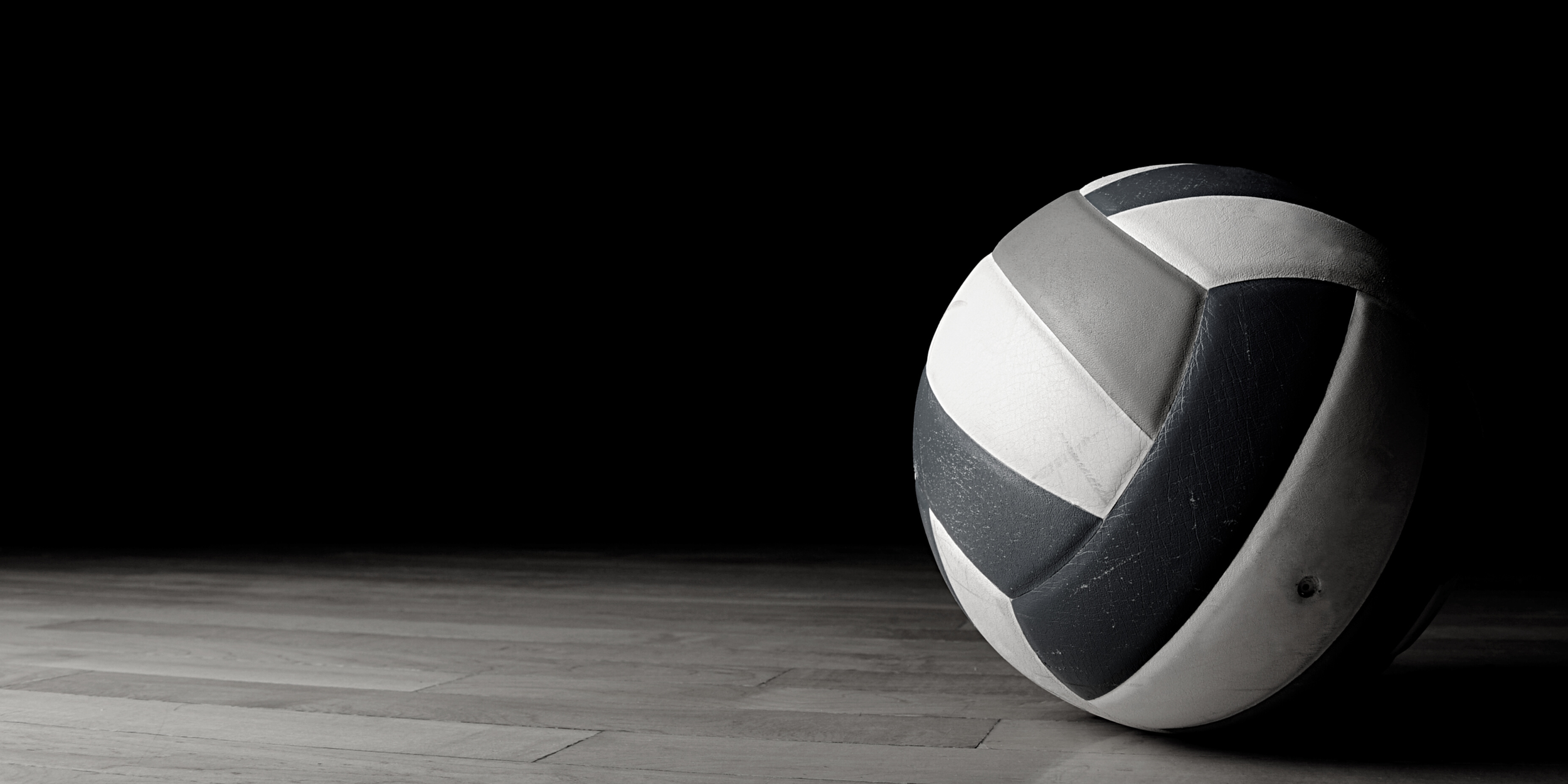 About Us — WGVA Chaos Volleyball