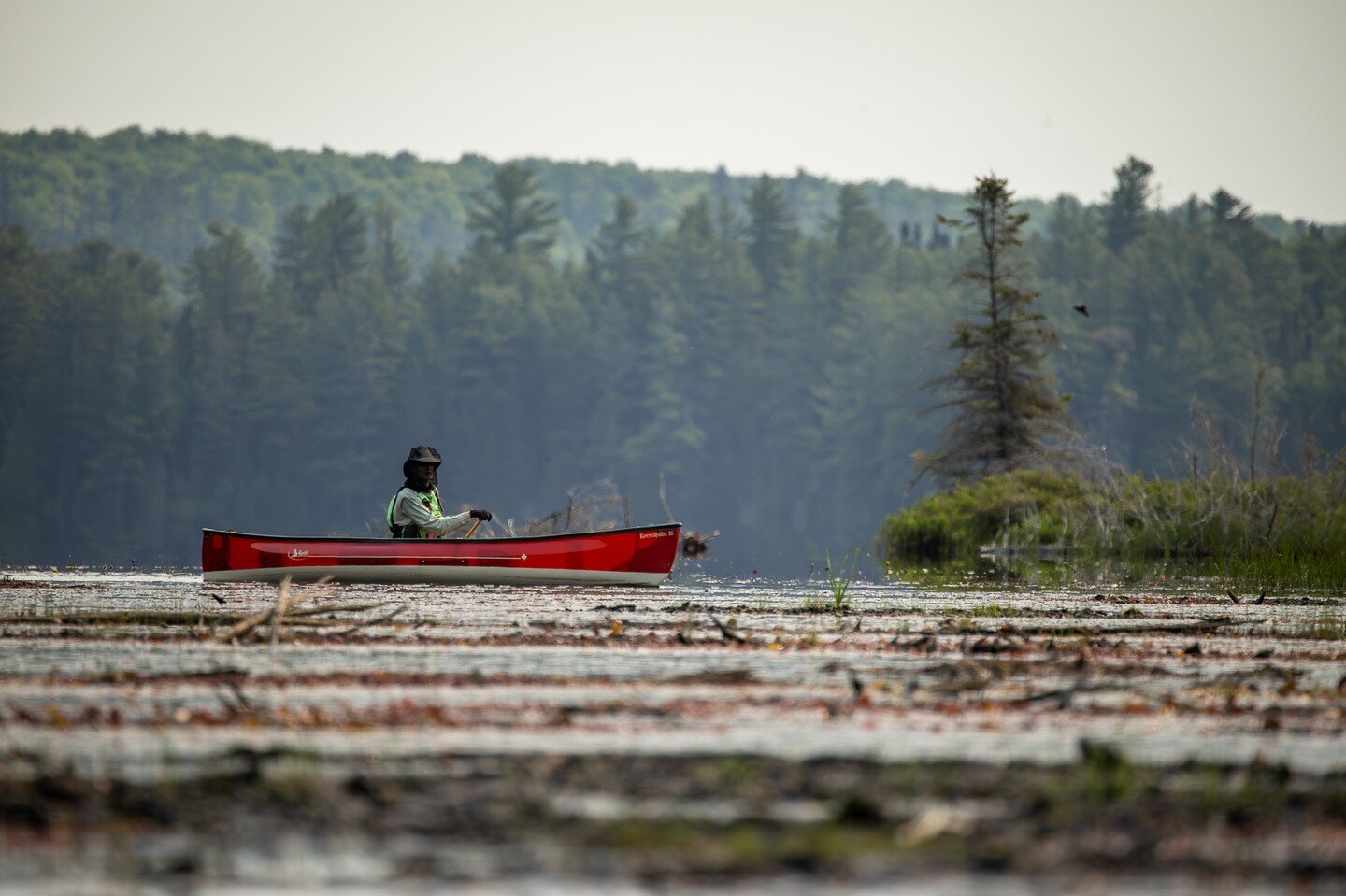 The last several weeks have been an absolute whirlwind of planning, preparing, and executing multiple near back to back canoe trips. It's been an epic month to say the least. Here's the rundown of activities during this period of time:

🚣 Embarked o