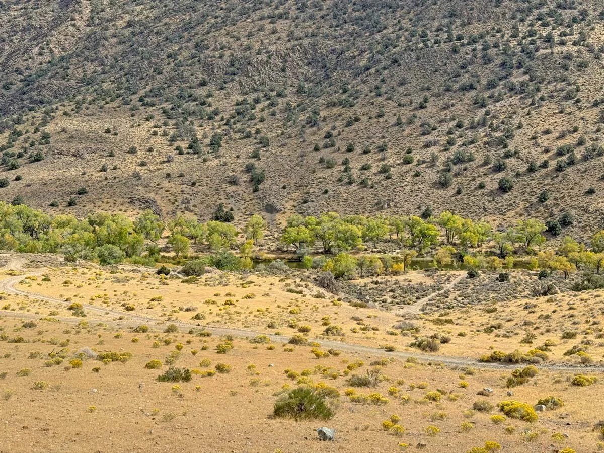 carsonriver.jpg