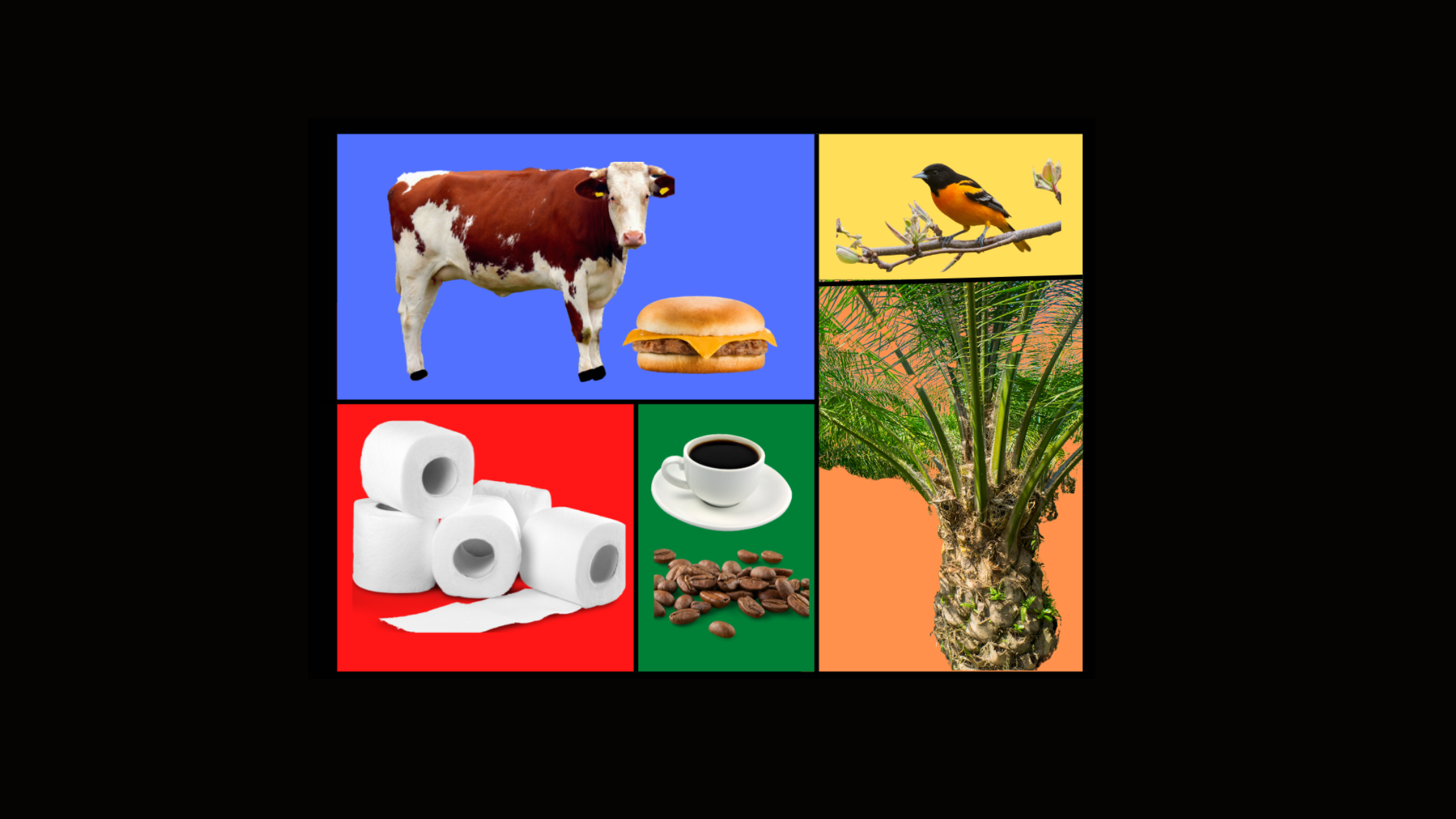 January Challenge: Flex Your Spending Power