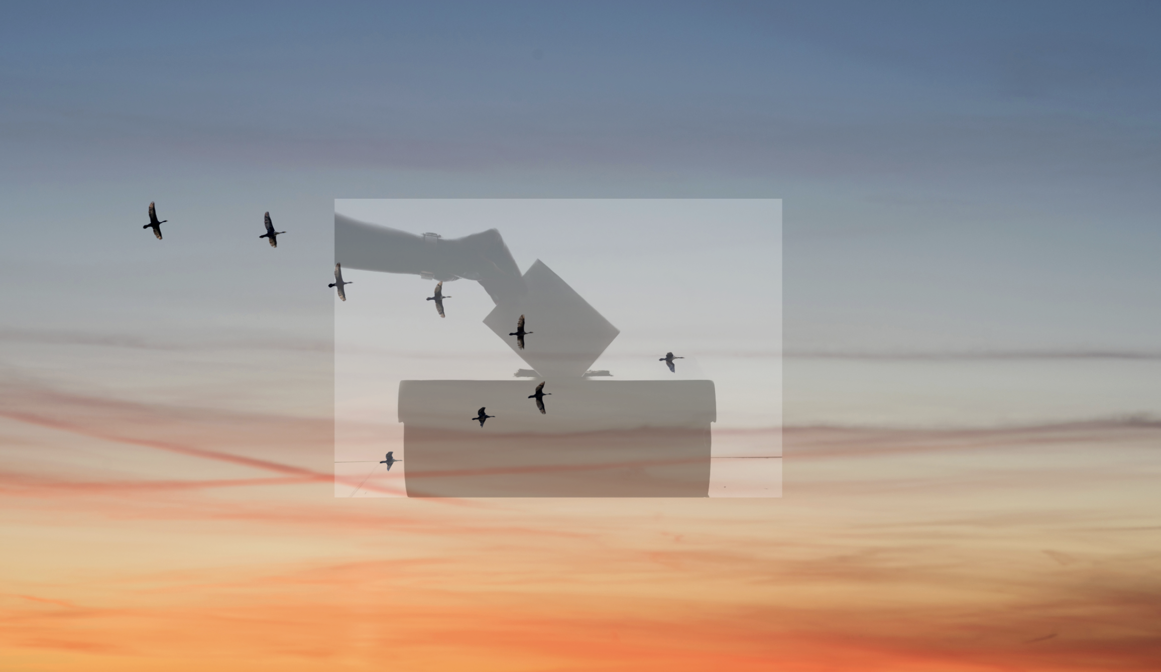 October Challenge: Vote for Candidates and Speak Out on Legislation That Helps Birds