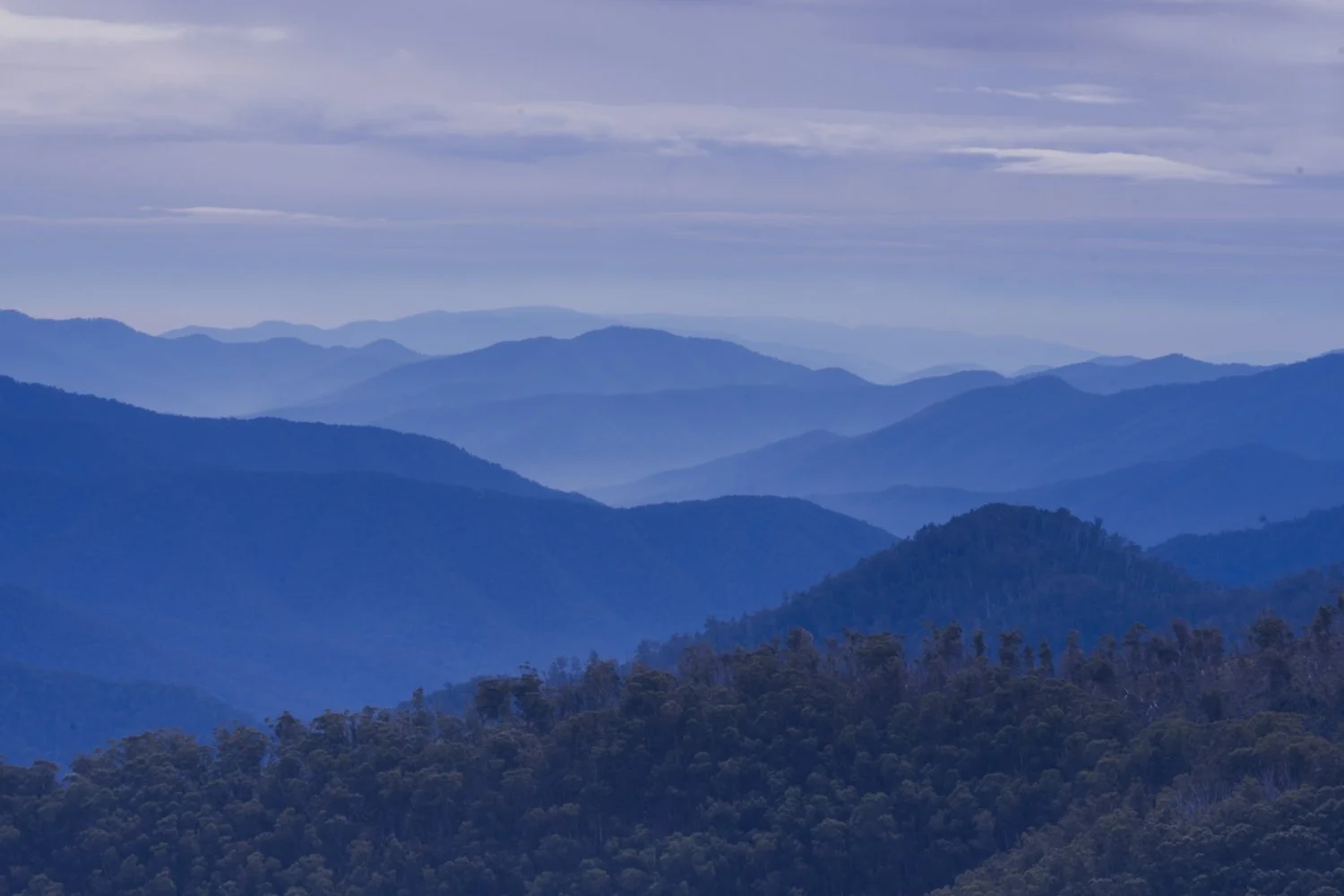 The view from the top of Mount Hotham in Victoria, Australia.