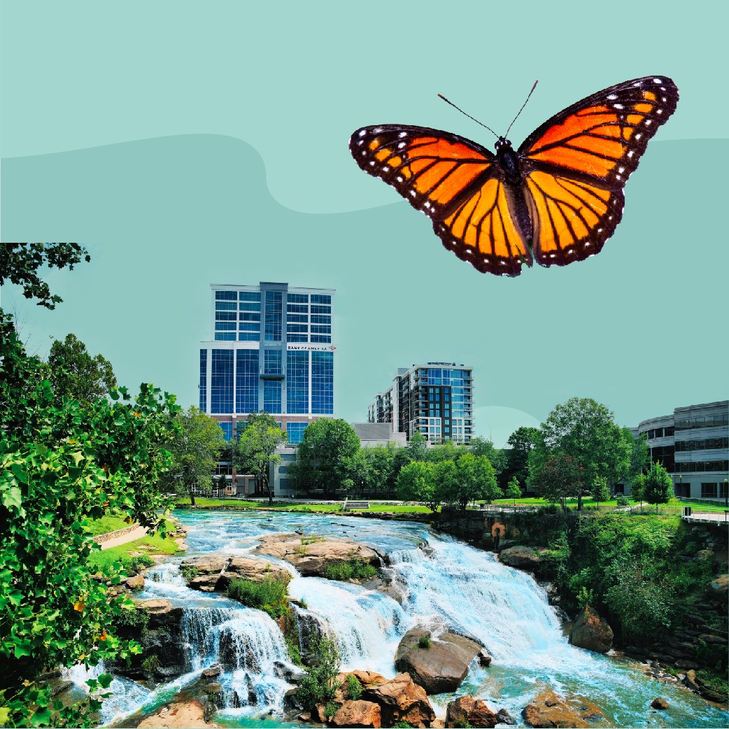 Greenville, SC Destination Guide — Pack Up + Go