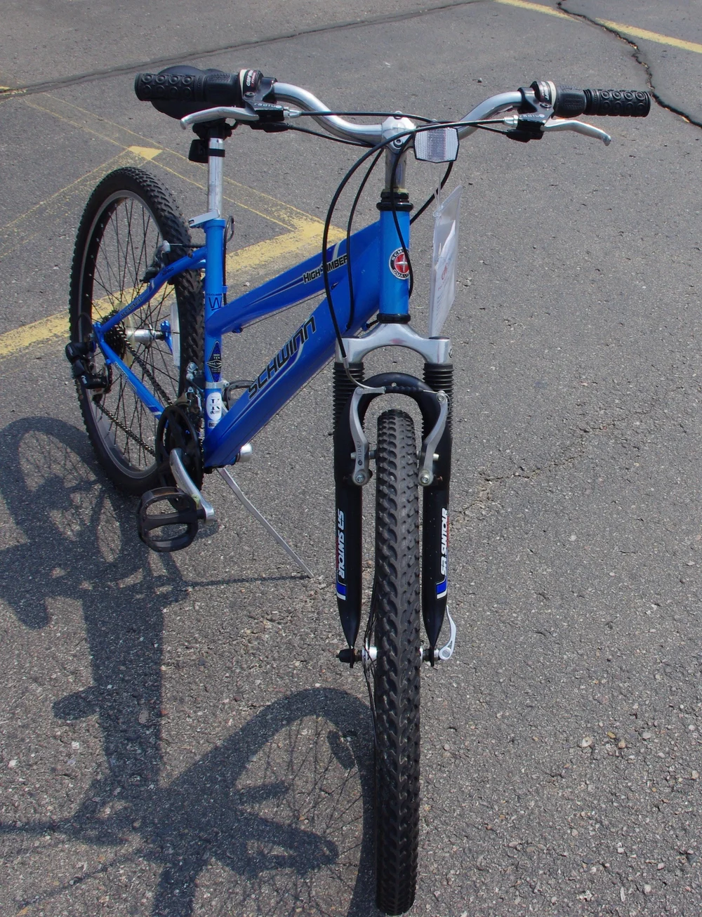 Schwinn High Timber Women Inspired Step Through (#94)  Charity Bicycles