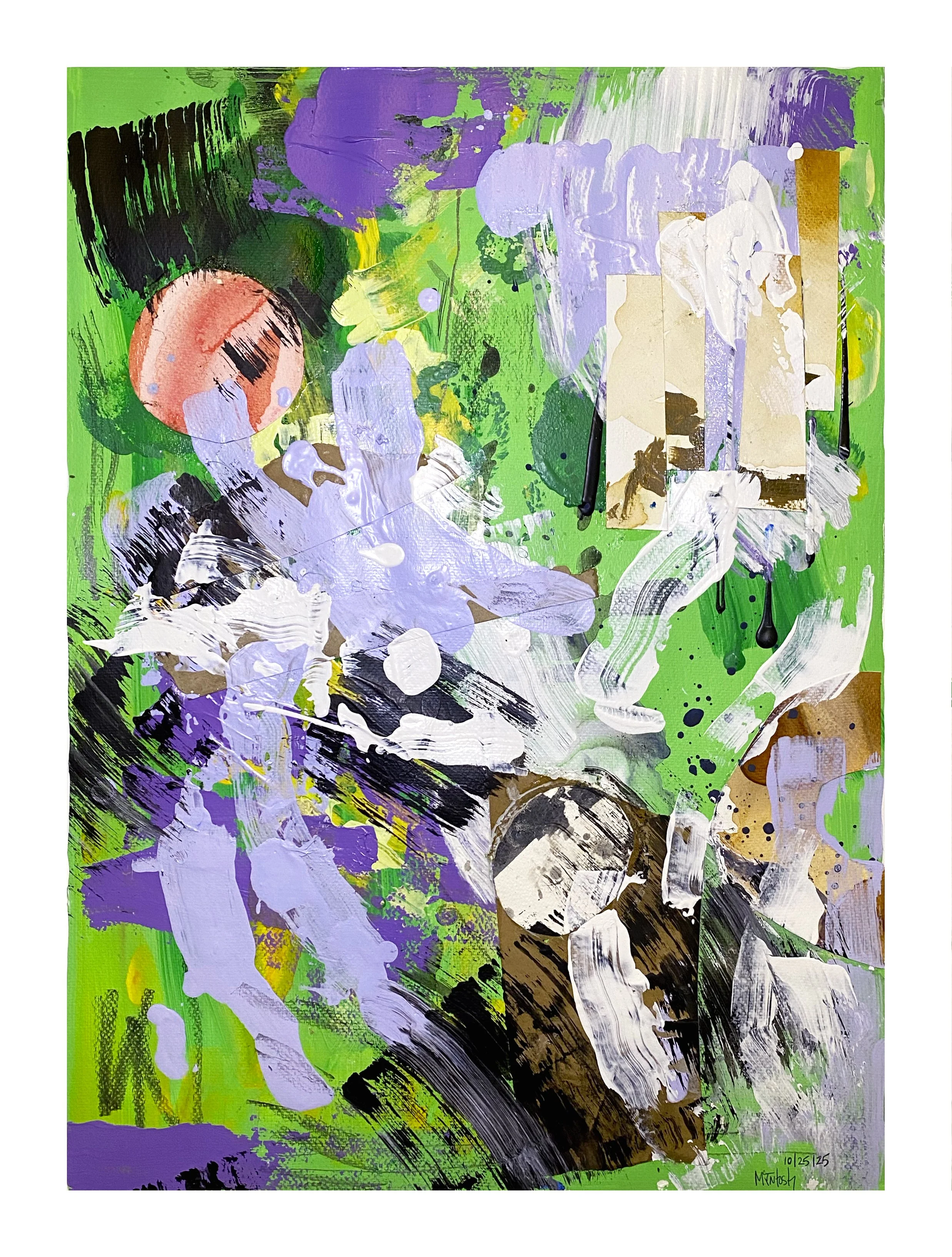 KIWI IMG_4820 copy.jpg