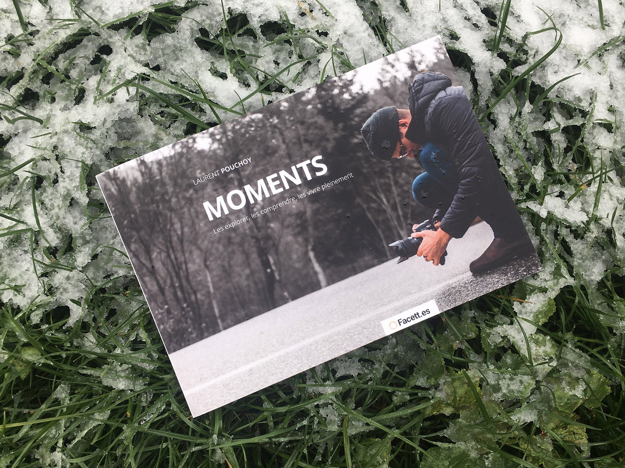 moments - herbe et neige - lr.jpg