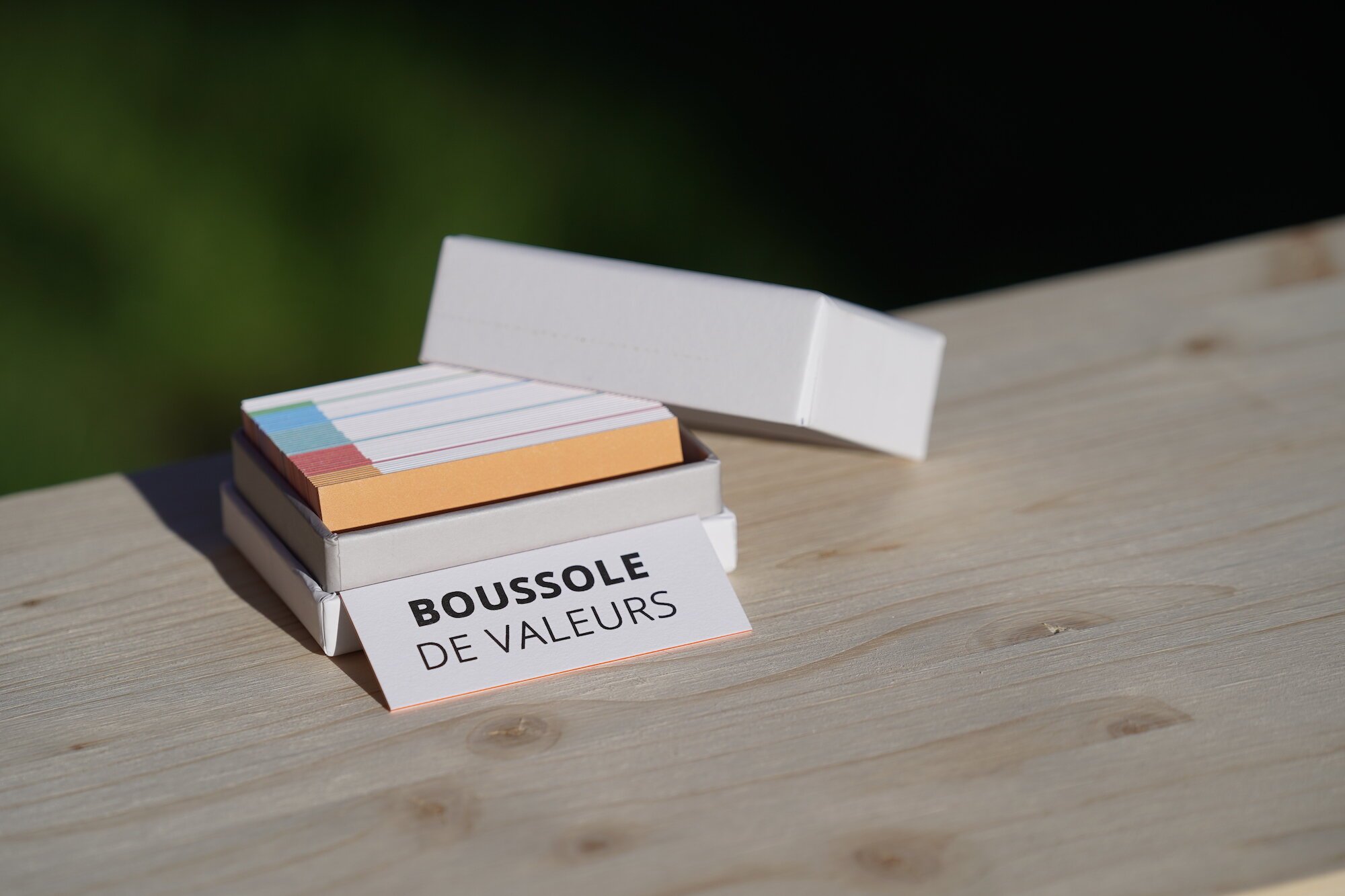 boussole+des+valeurs+1.jpeg