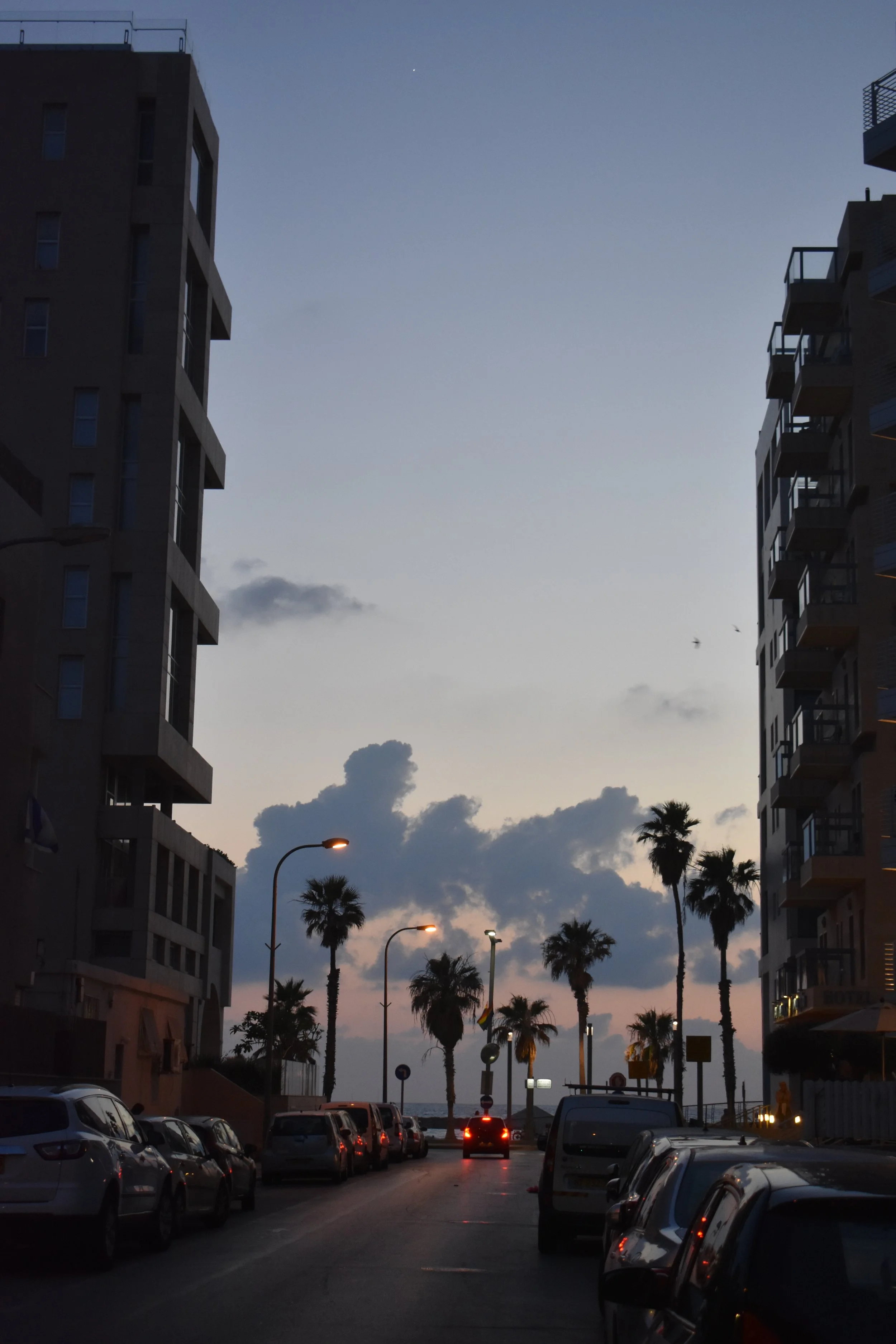 dsc_0356.jpeg