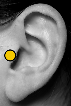 Piercing Price Guide: $10 Piercings SoHo, Union Square, Williamsburg ...