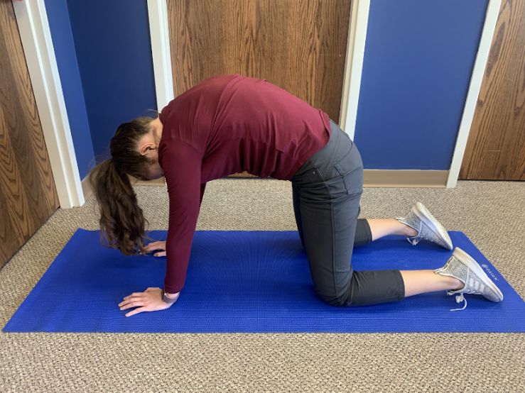4 Upper Back Stretches to Improve Posture — Revitalize Physical Therapy