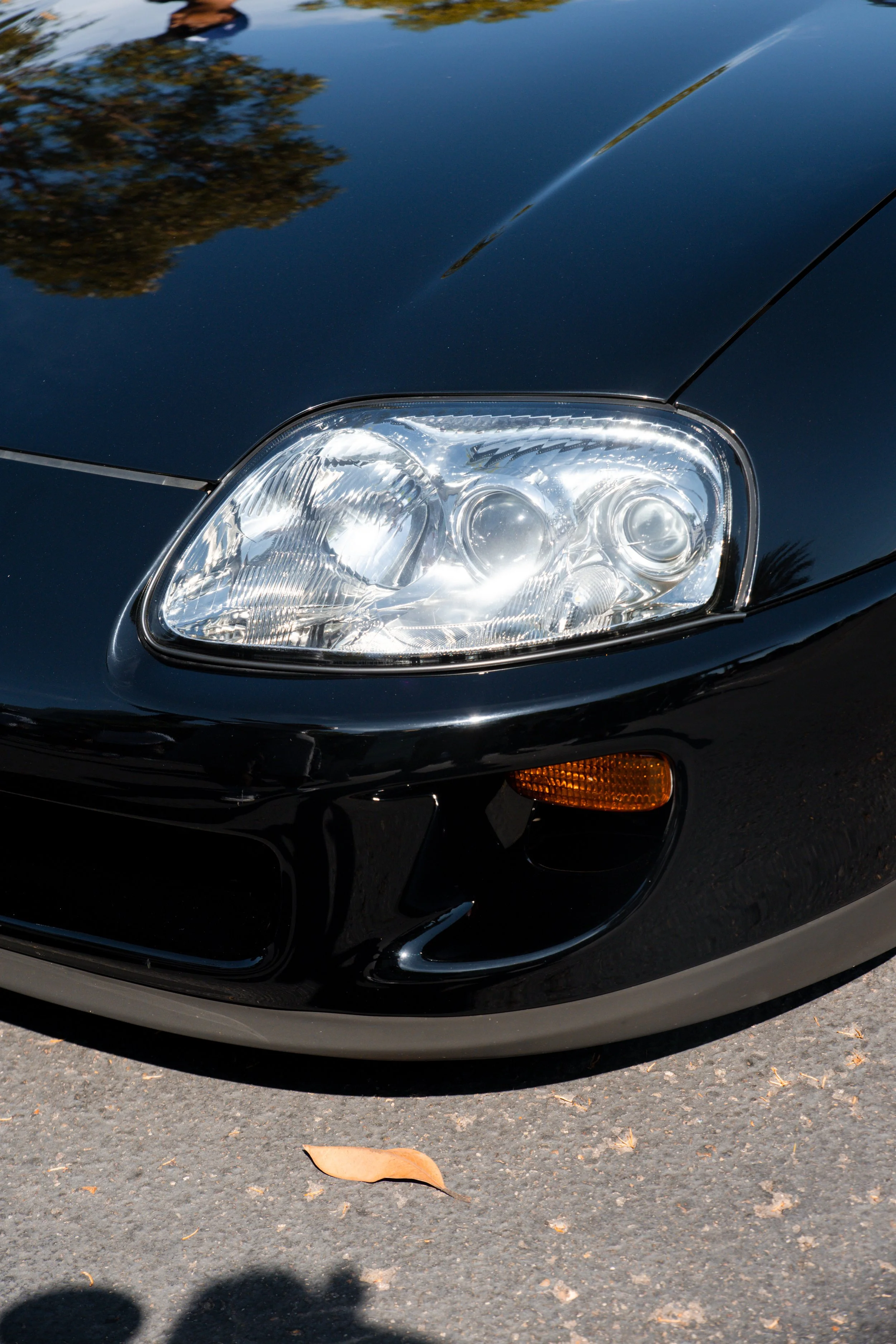 car show (26 of 76).jpg