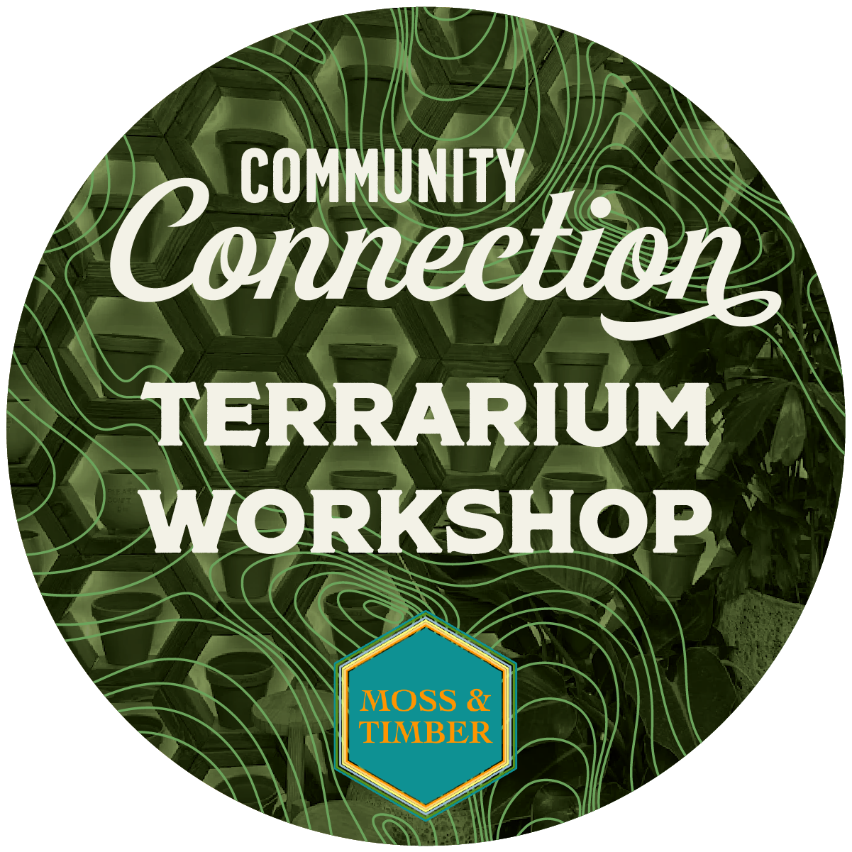 Community Connection | Terrarium Workshop 