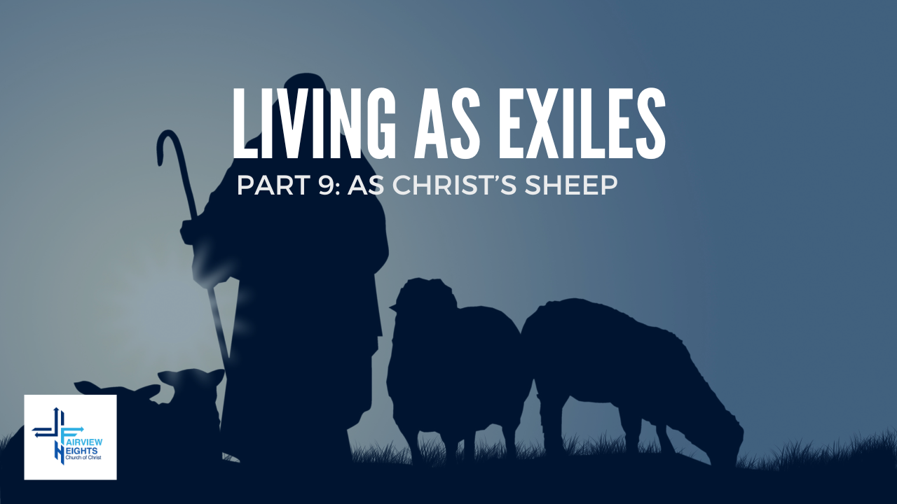 Part 9: As Christ's Sheep