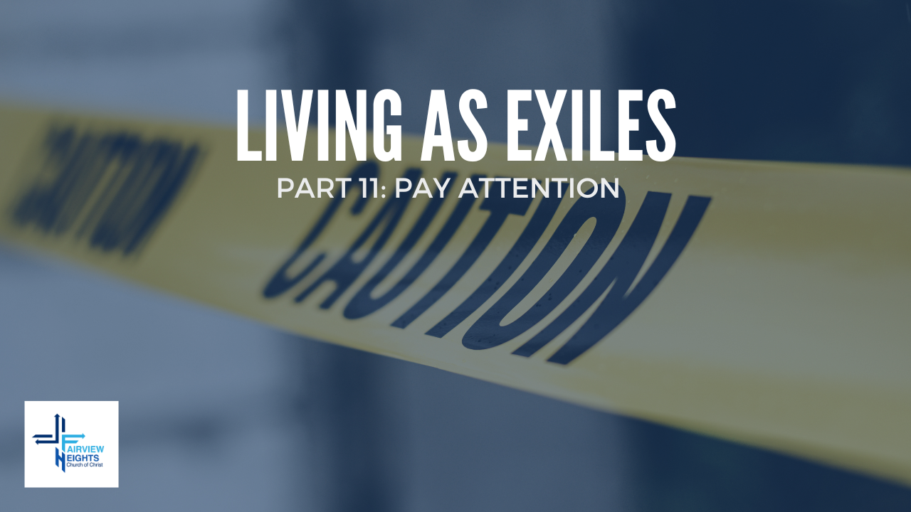 Part 11: Pay Attention