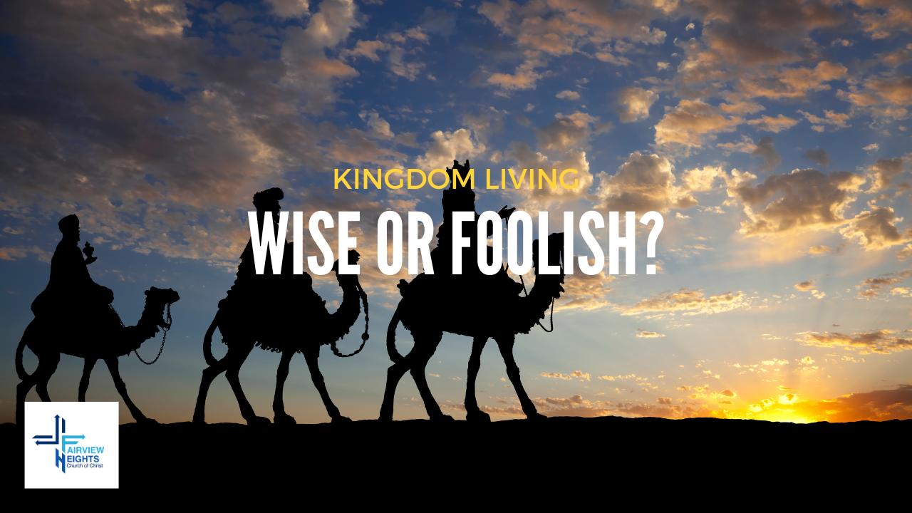 Wise or Foolish?