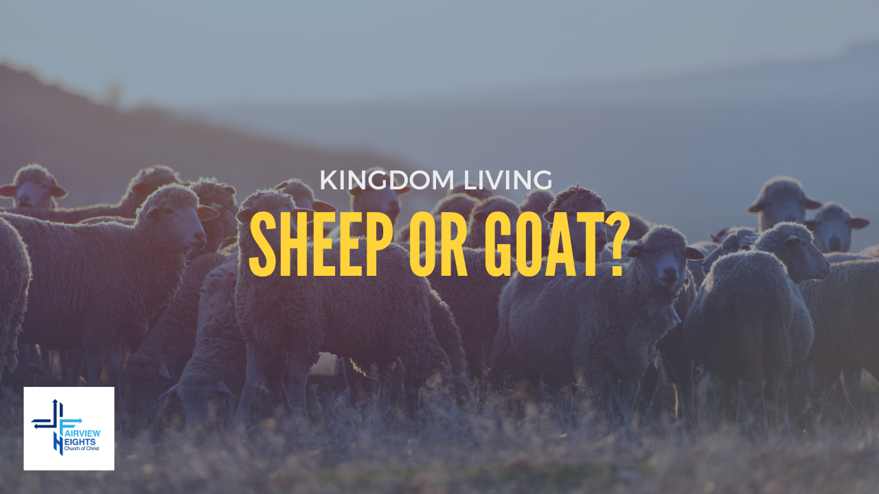 Sheep or Goat?