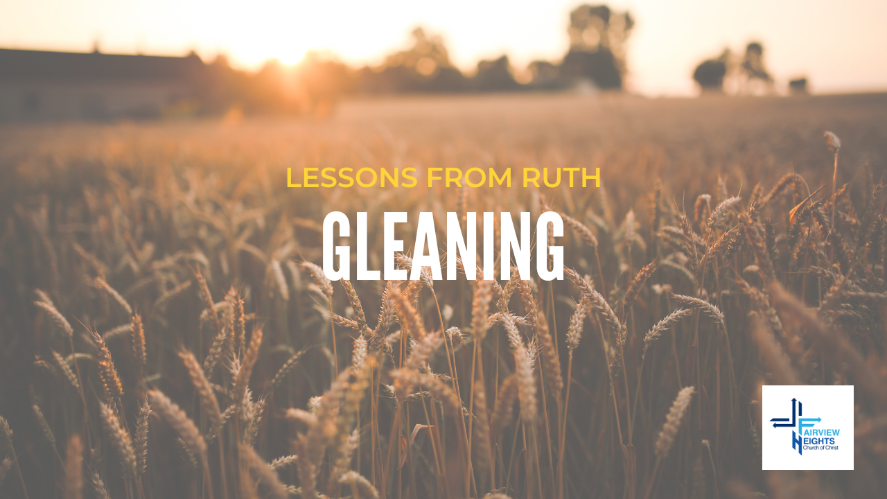 Gleaning