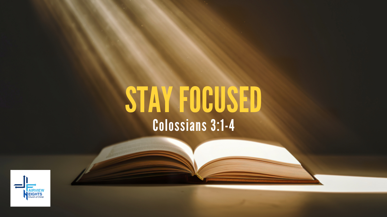 Stay Focused