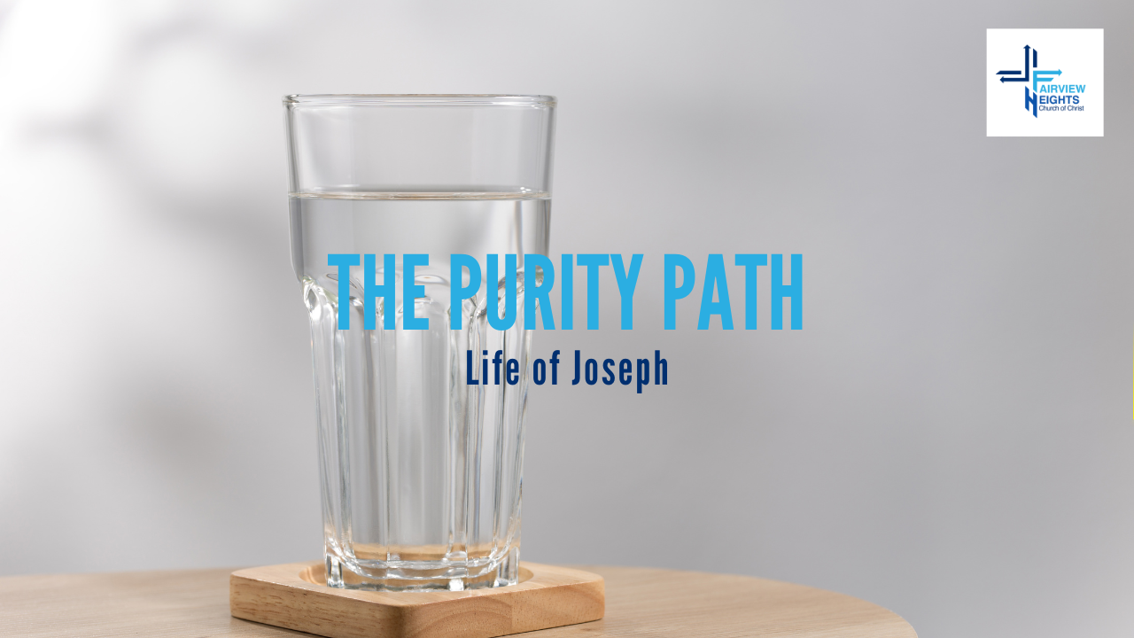 The Purity Path