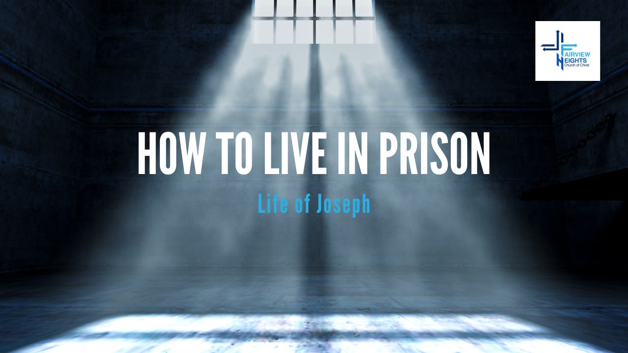 How to Live in Prison