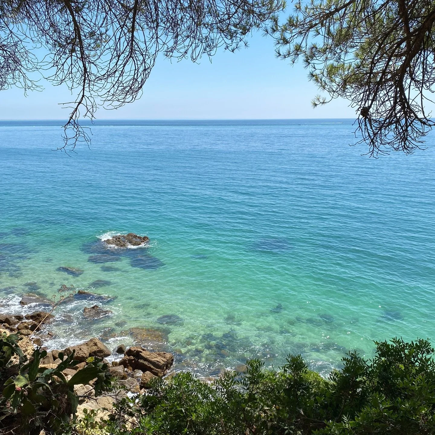 &Eacute; necess&aacute;rio resistir &agrave; tenta&ccedil;&atilde;o do discurso f&aacute;cil - aquele que reduz o mundo &agrave; l&oacute;gica bin&aacute;ria do forte e do fraco, que aceita o poder material como leme das nossas vidas, que normaliza a