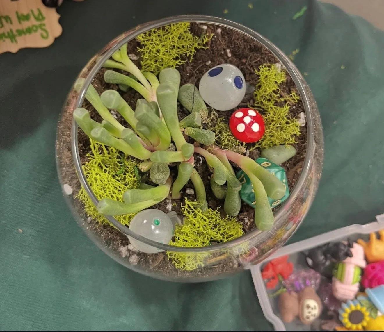 Moss & Mocha Event Ticket