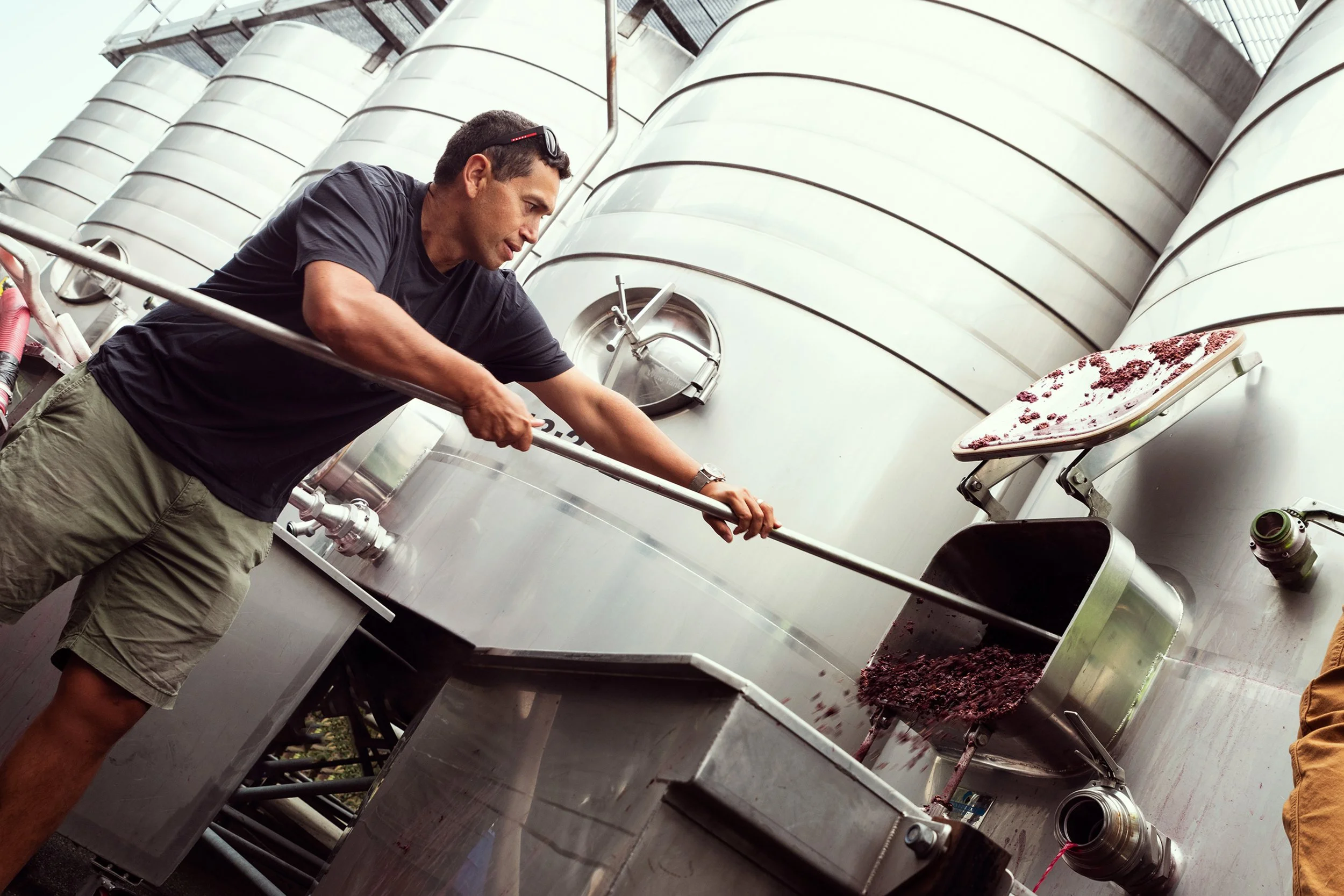 Ross Taylor_Winery_@T3NPHOTO_8261_uncropped.jpg