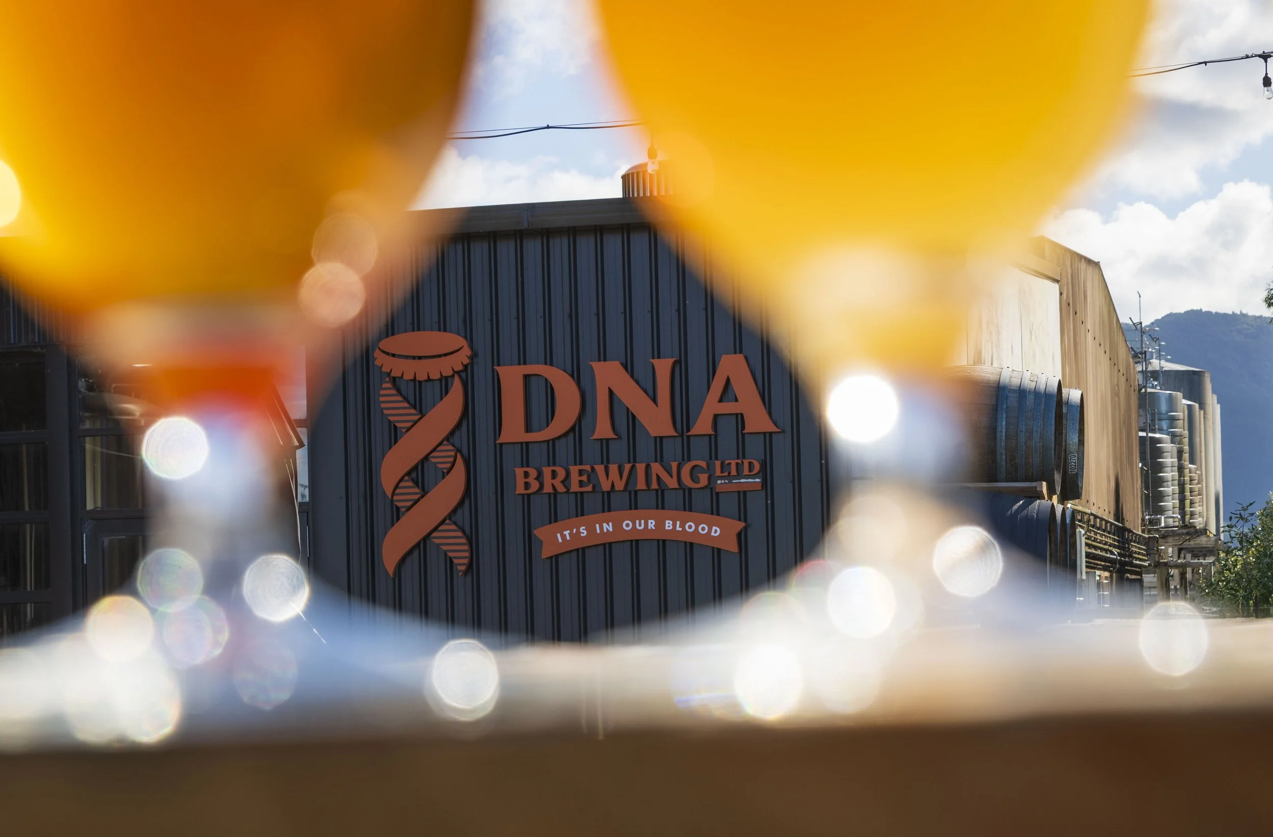 DNA_Beer in Glass_©T3NPHOTO_1760.jpg