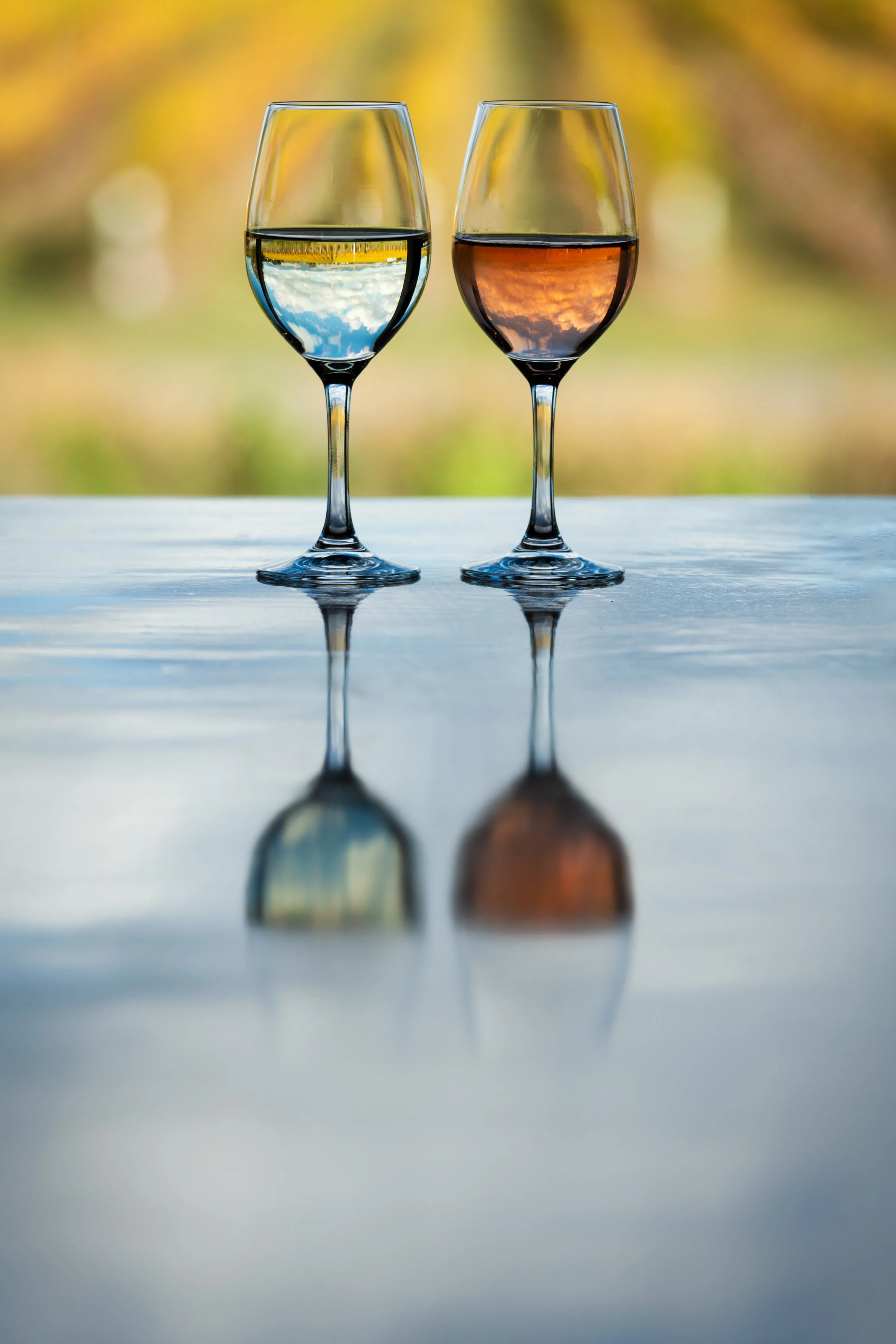 T3NPHOTO_Wine Glasses_reflection_1922.jpg