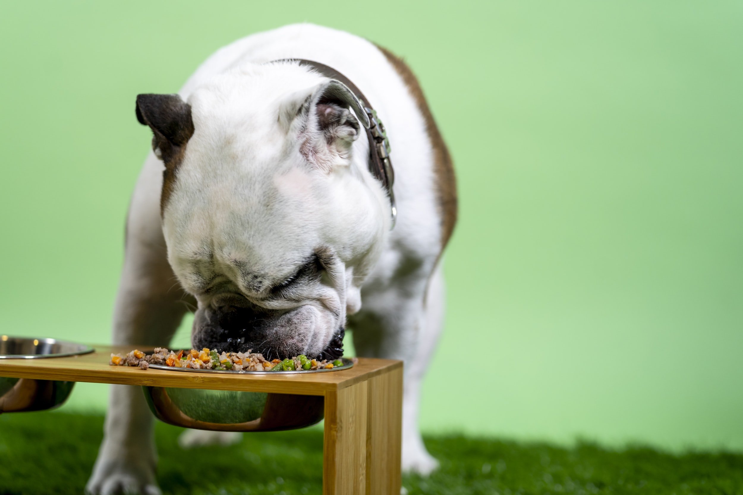 Real dog food made from organic grains and produce including sweet potatoes, carrots, broccoli, spinach, peas, apples, flax seed.   Beef and Chicken AAFCO Guidelines. Subscription or pay monthly.