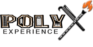 Poly X Experience 