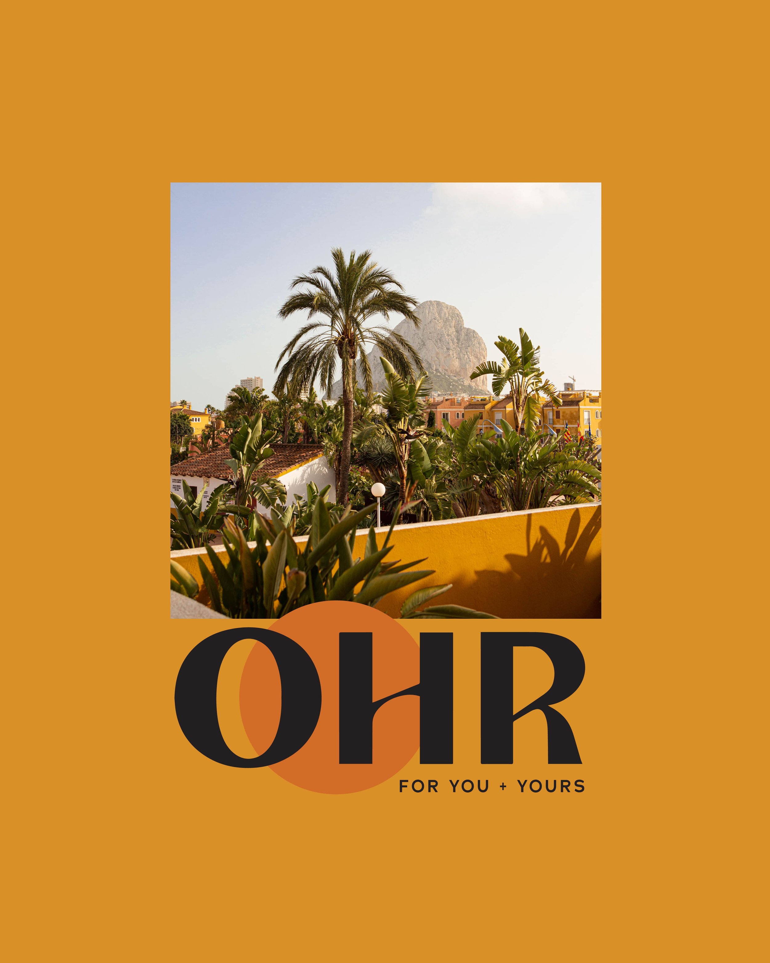 OHR-beauty logo and packaging design-1.jpg