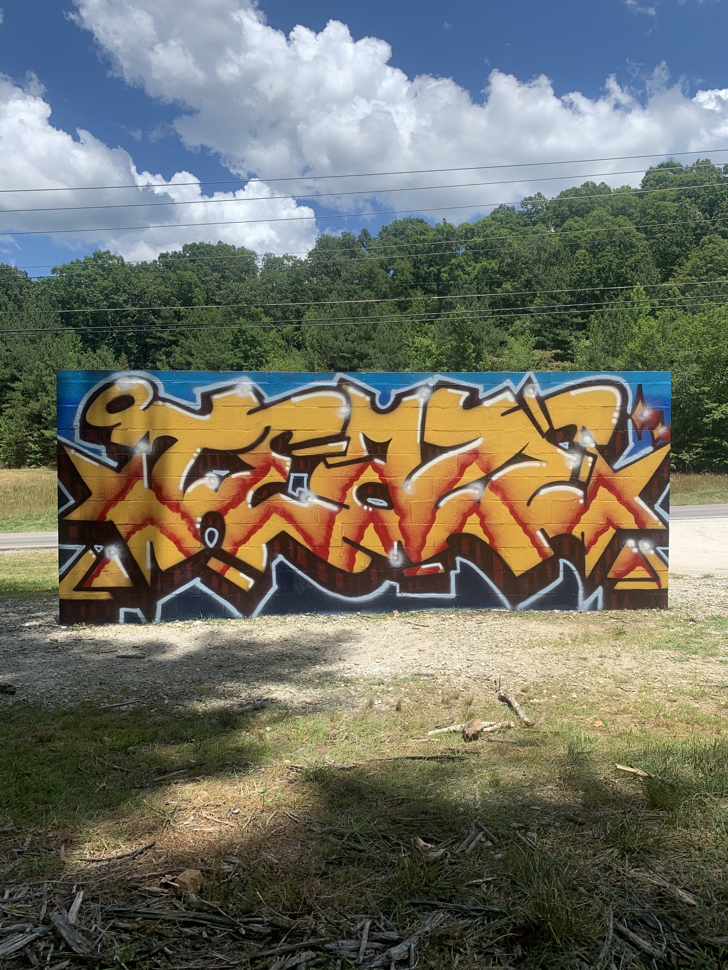 Personal graffiti project at Tennessee mural jam- aerosol spray paint