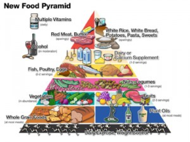 You Are What You Eat