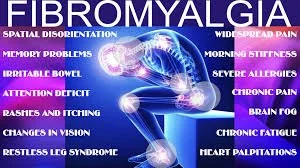 Fibromyalgia &amp; Chronic Fatigue