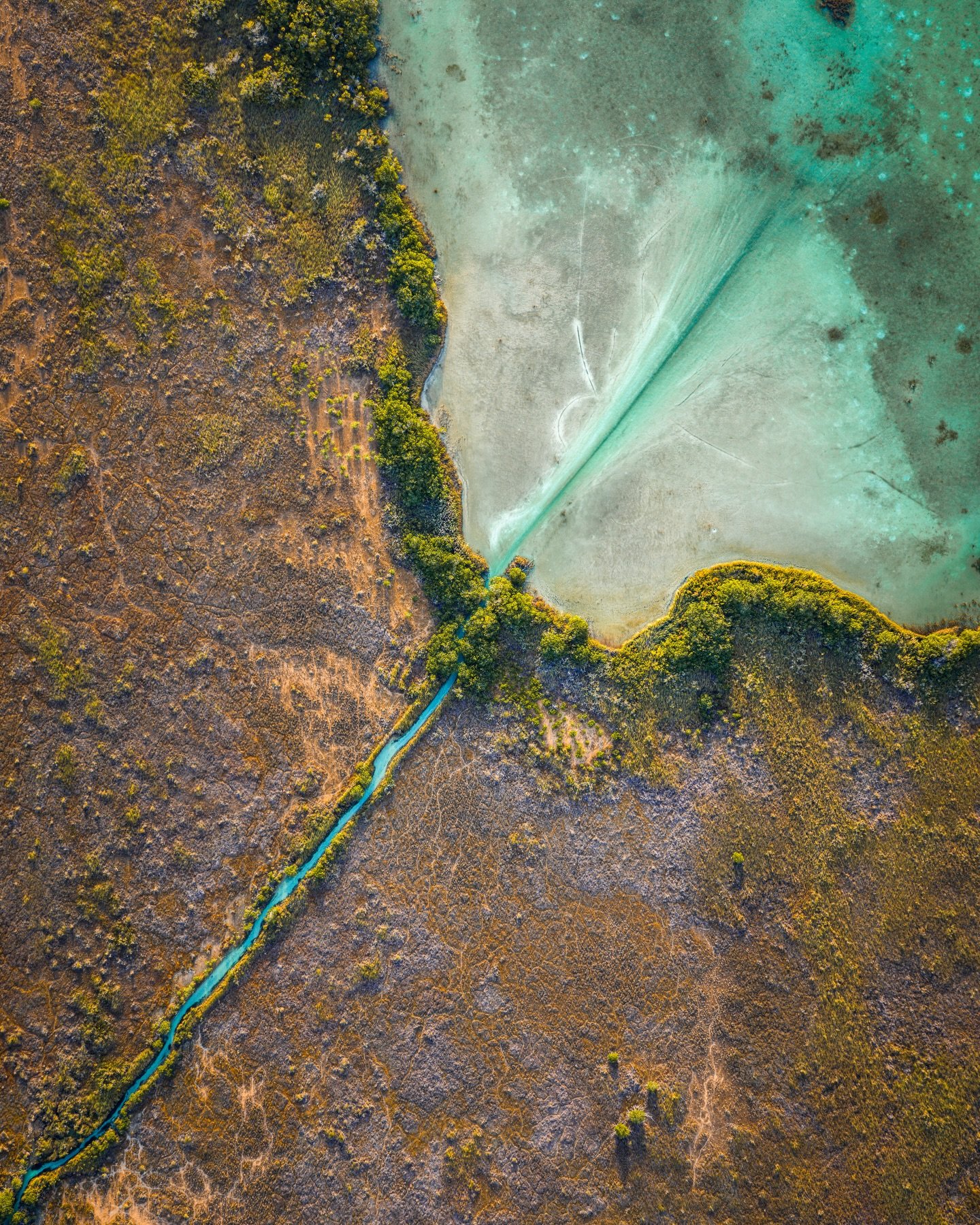 Laguna de Muyil 🌿🌴

#aerial #nature #landscape