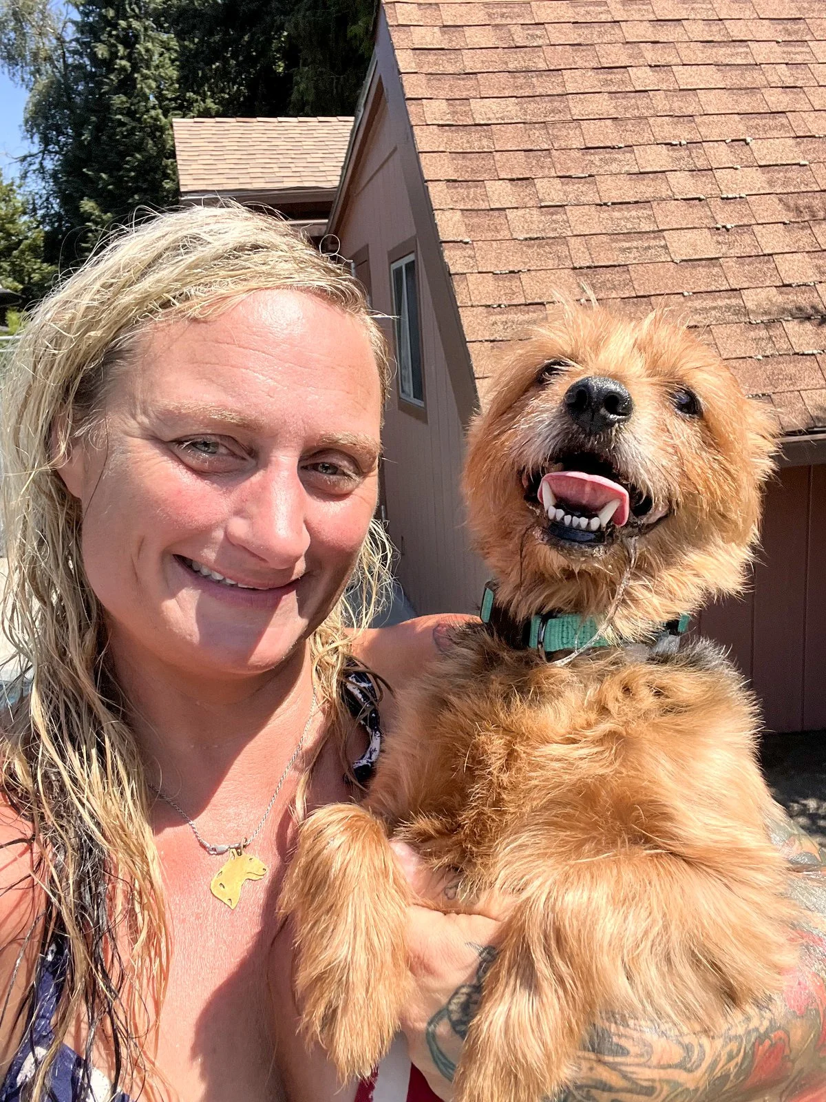 Katy's Dogs Place All Breeds Dog Daycare & Boarding