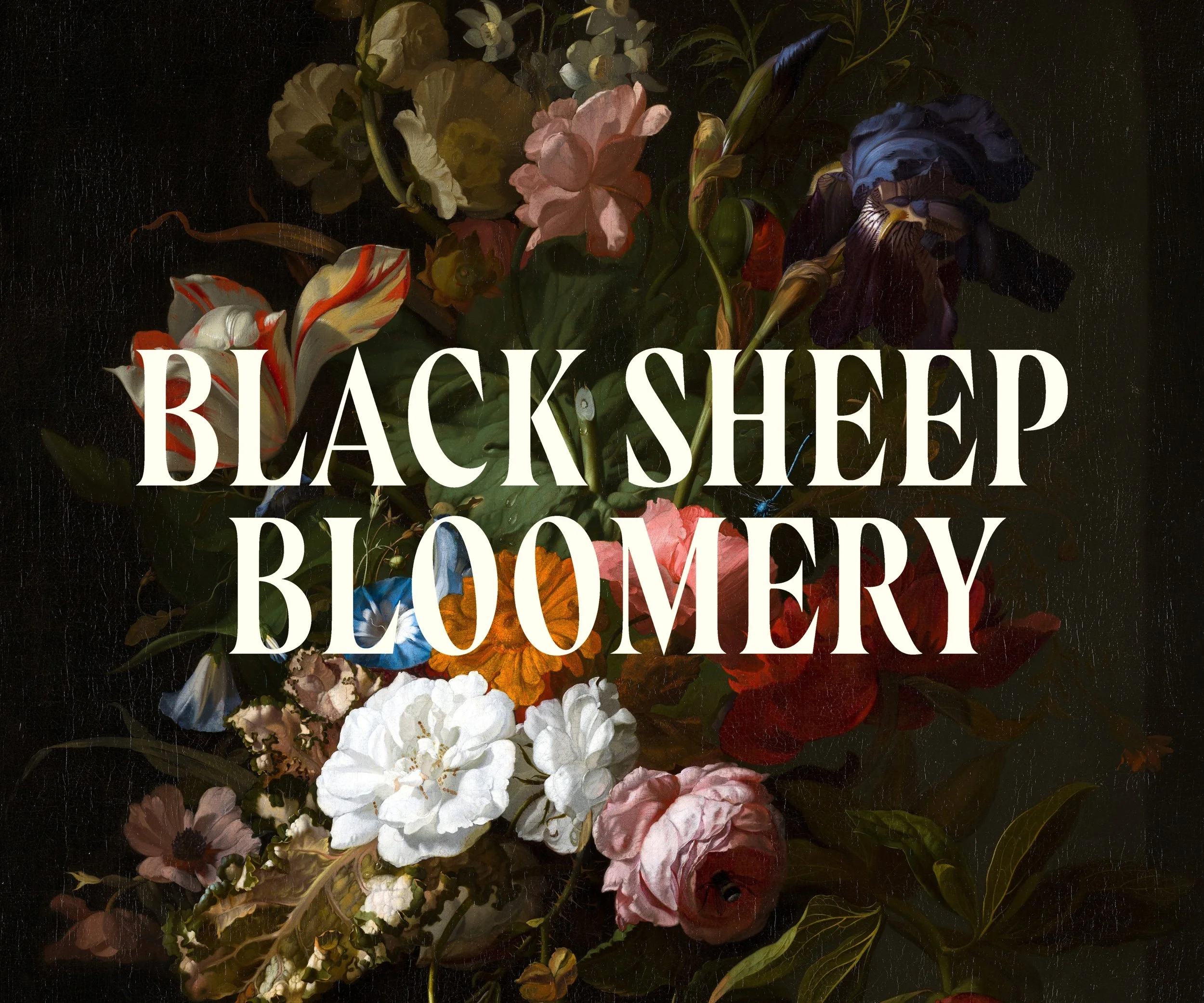Black Sheep Bloomery