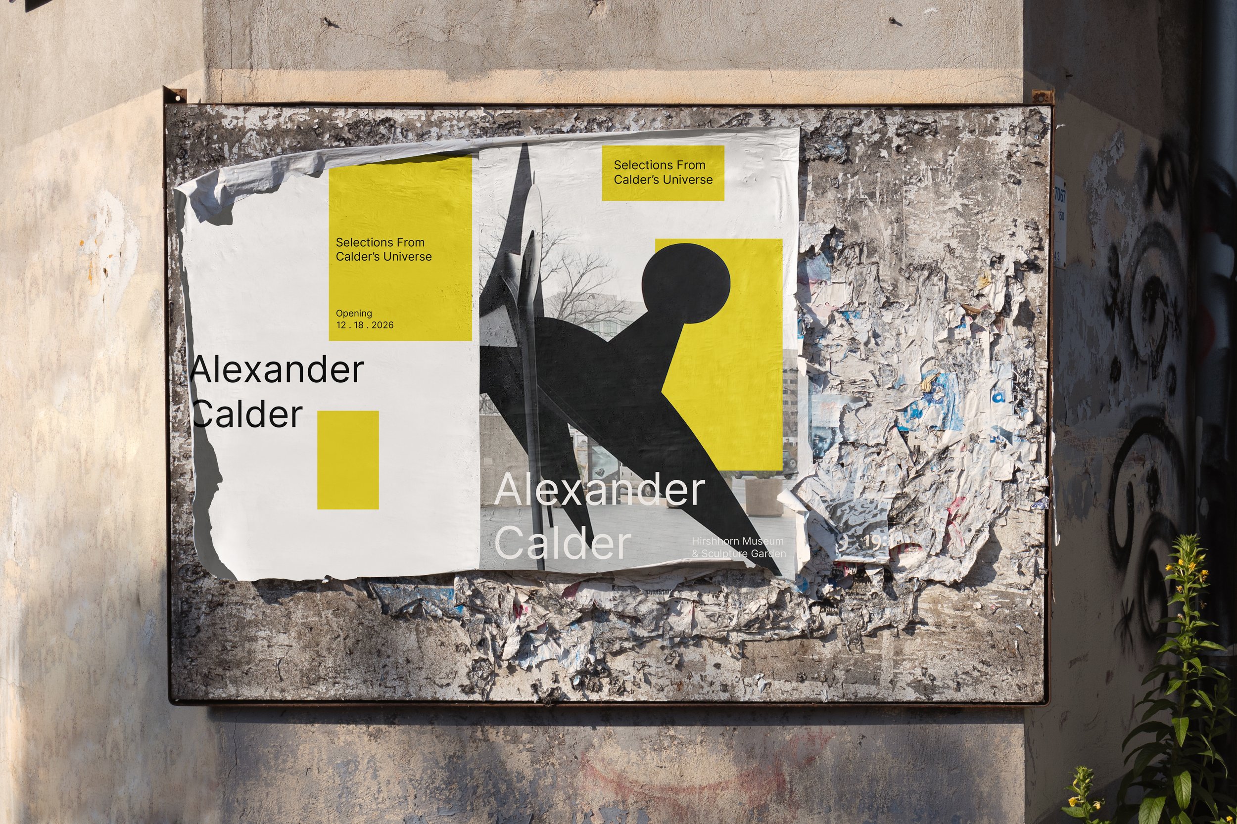 HSG_Poster_Decay_2 copy.jpg